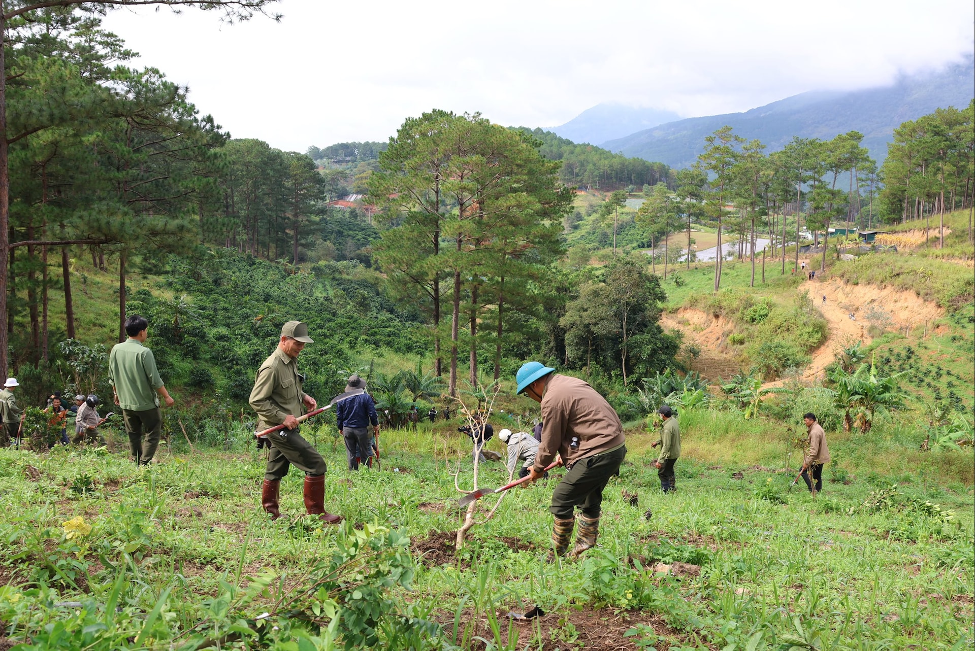 Lâm Đồng: Lại "đi tìm" người chiếm đất - Ảnh 1.