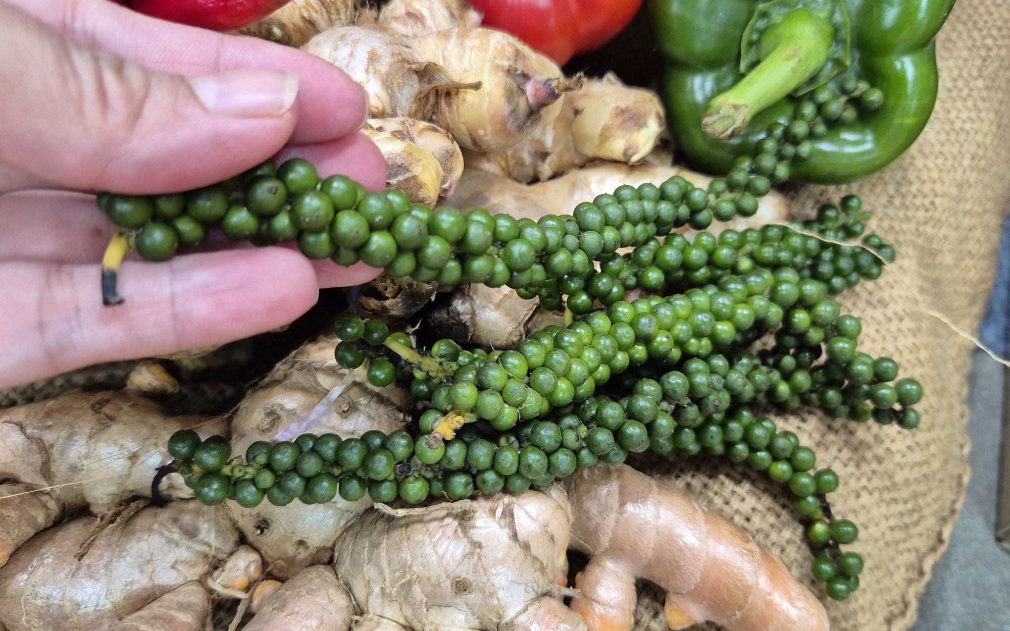 Diễn biến mới về đ&agrave;m ph&aacute;n thuế đối ứng Việt Nam &ndash; Mỹ - Ảnh 2.