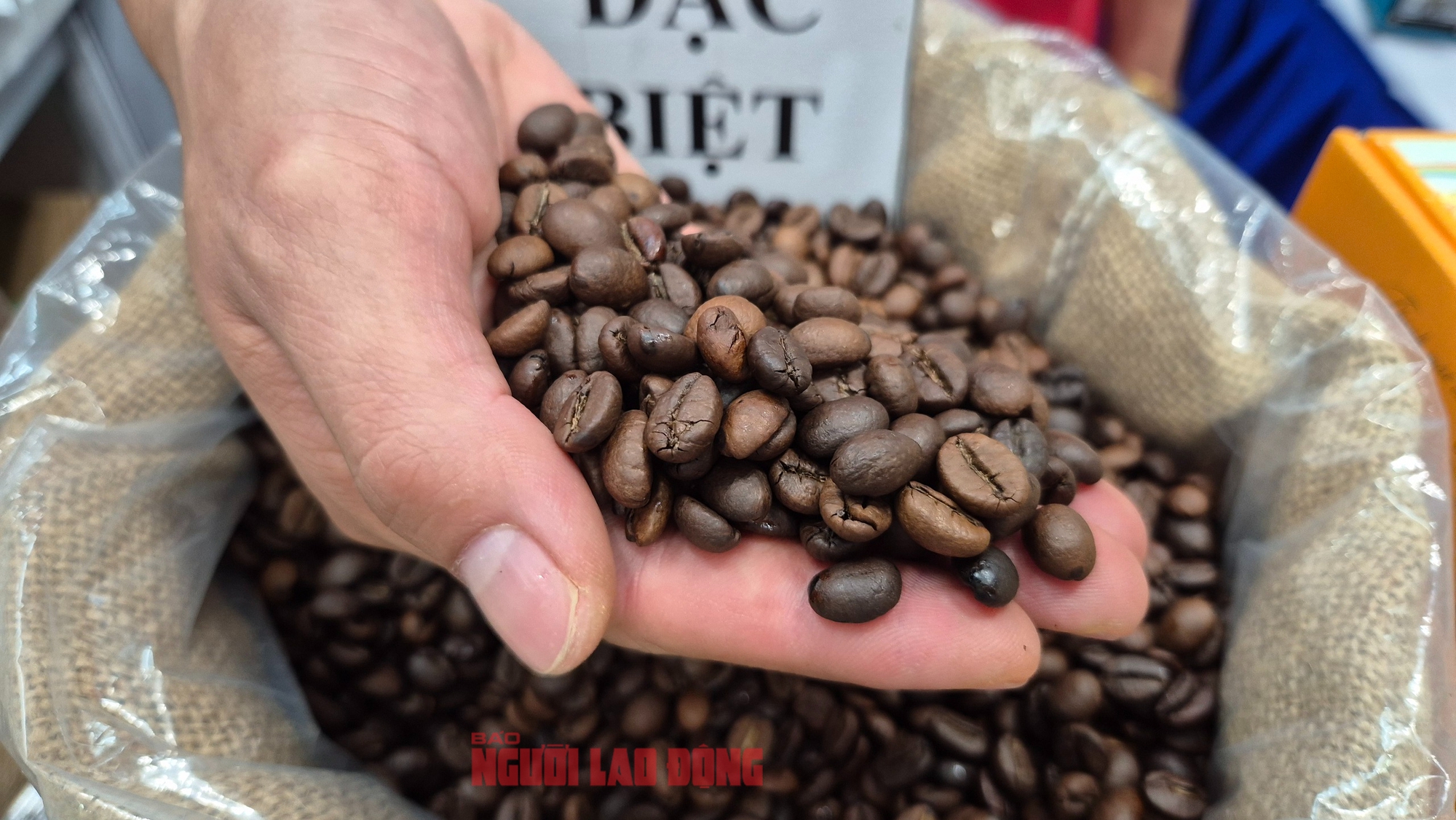 Giá cà phê hôm nay 16-11: Tuần buồn của giá cà phê - Ảnh 1.