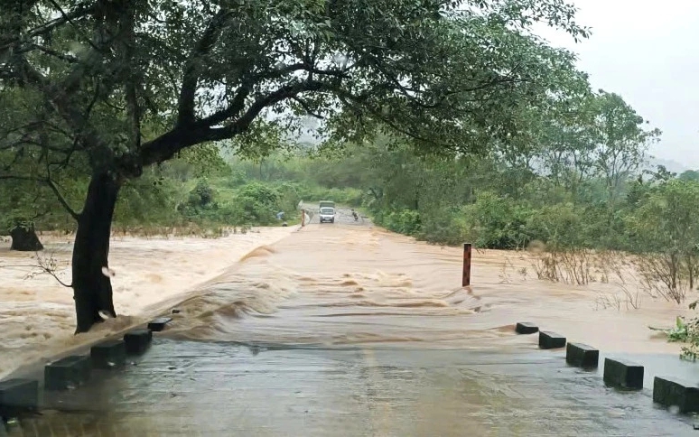 - Ảnh 2. - Ảnh 2.