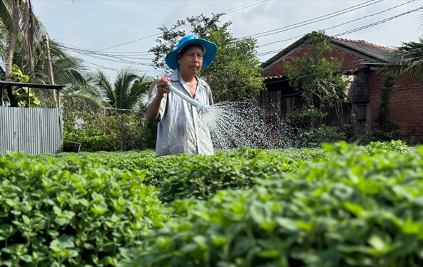 Kỳ vọng mùa hoa kiểng Tết - Ảnh 1. Kỳ vọng mùa hoa kiểng Tết - Ảnh 1.