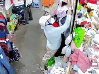 - Ảnh 1. - Ảnh 1.