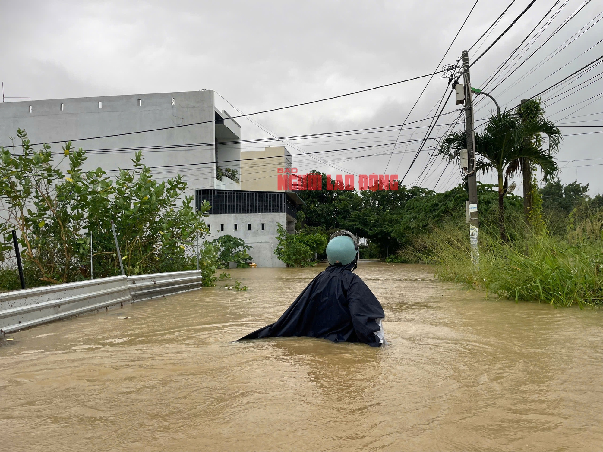 - Ảnh 1. - Ảnh 1.