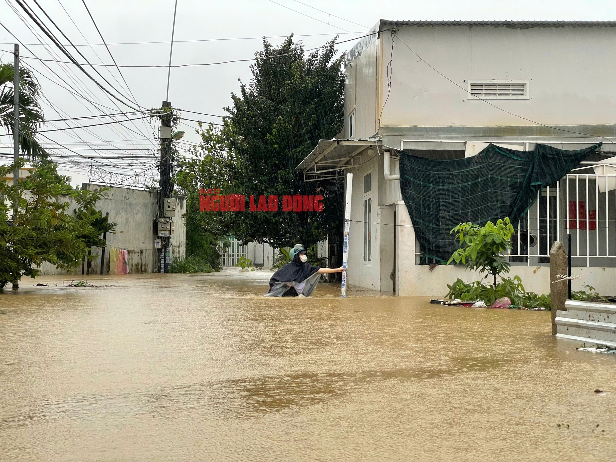 - Ảnh 2. - Ảnh 2.