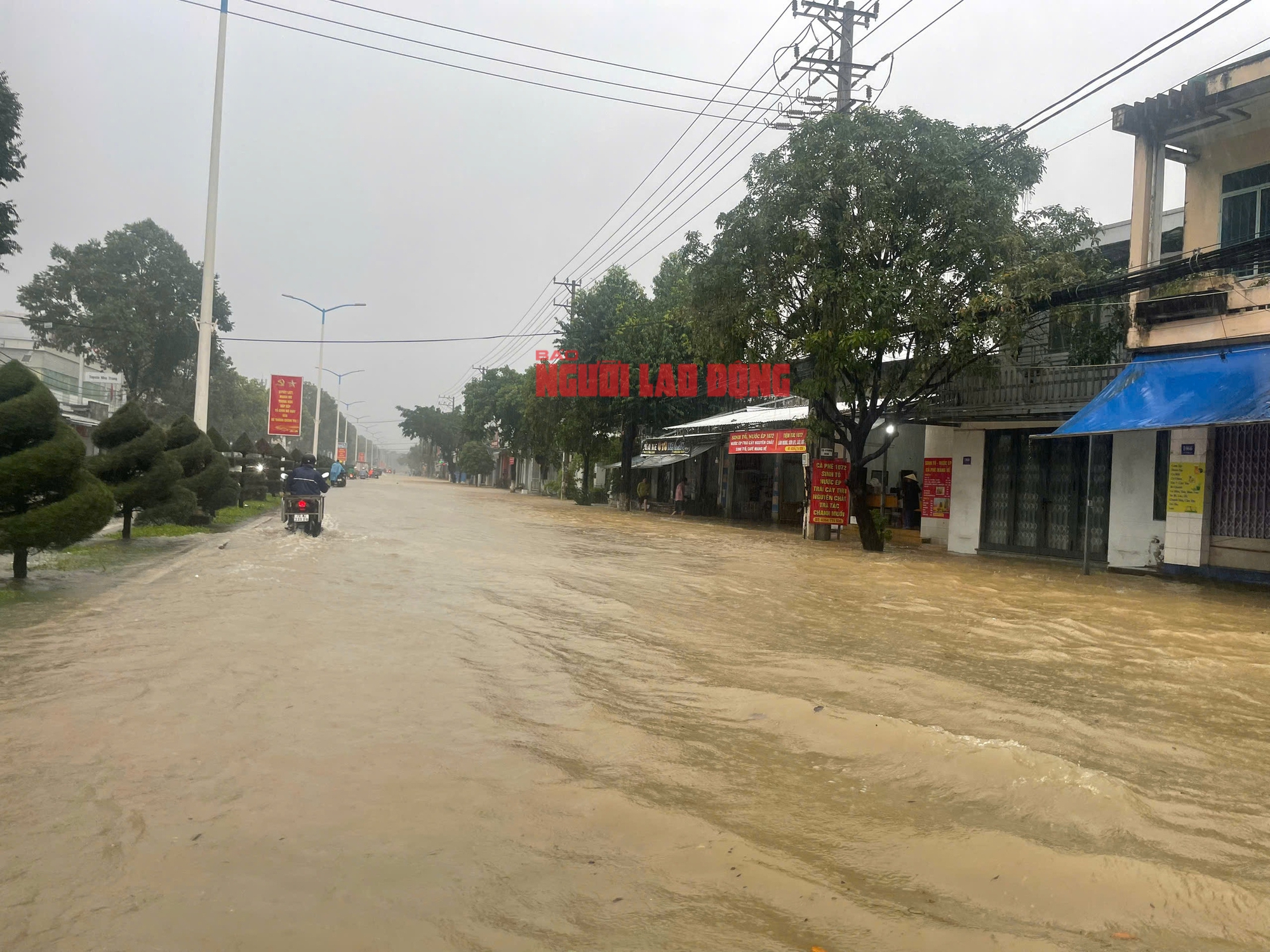 - Ảnh 3. - Ảnh 3.