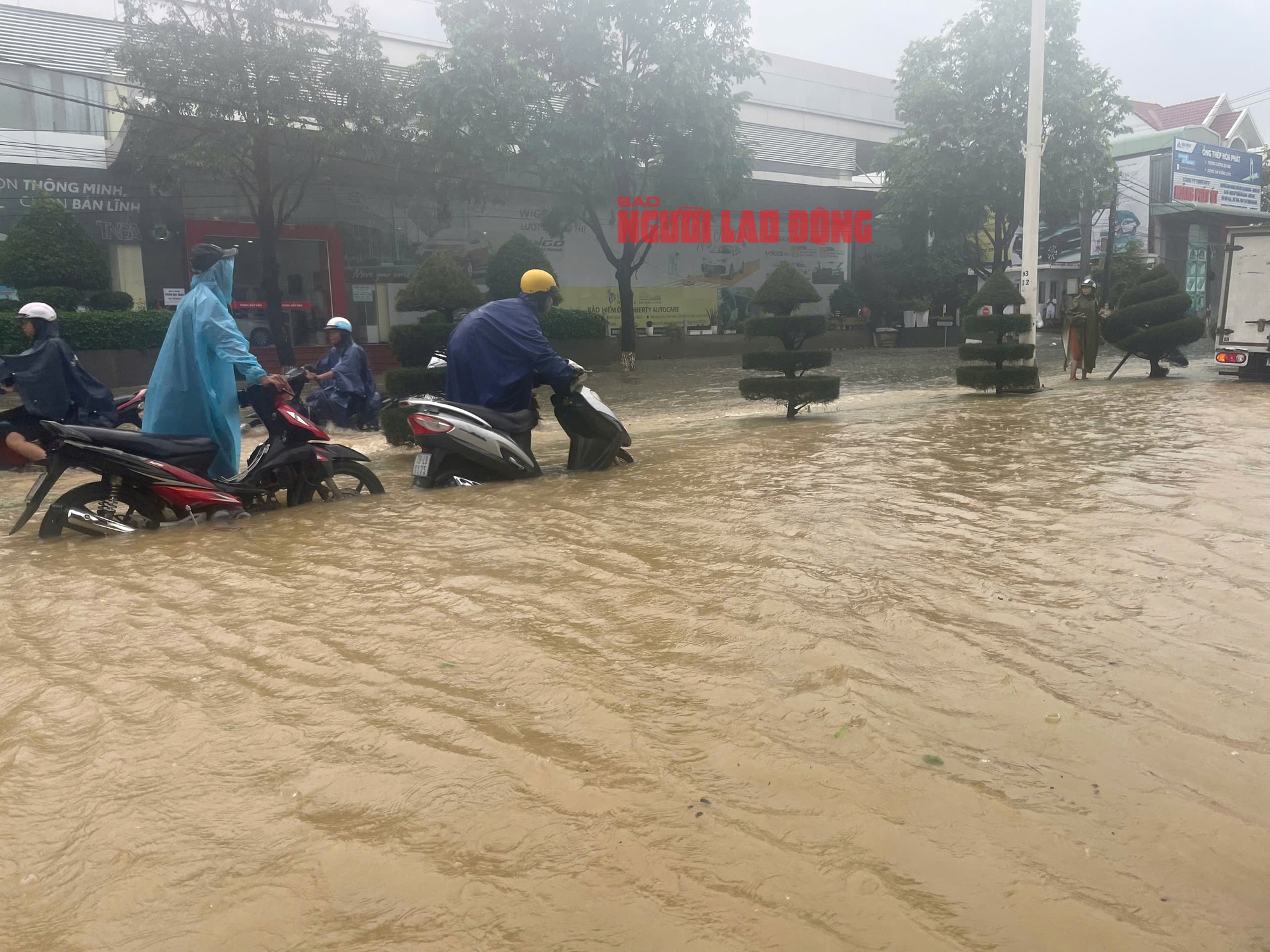 - Ảnh 5. - Ảnh 5.