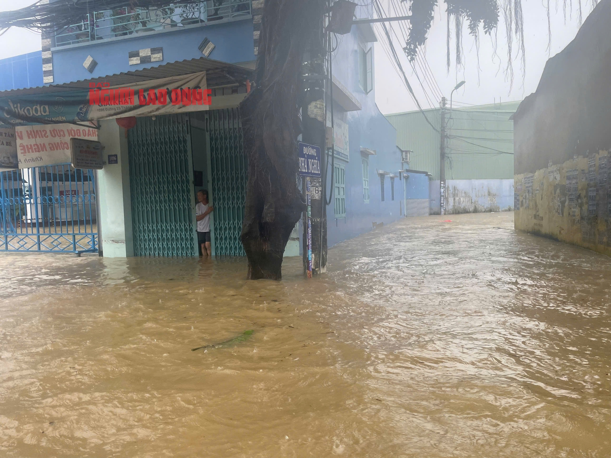 - Ảnh 6. - Ảnh 6.