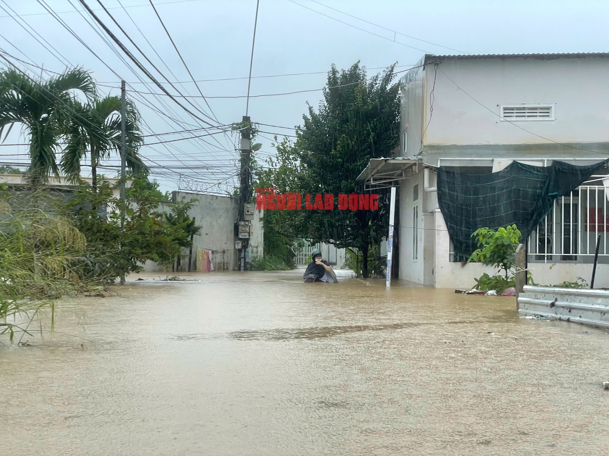 - Ảnh 8. - Ảnh 8.