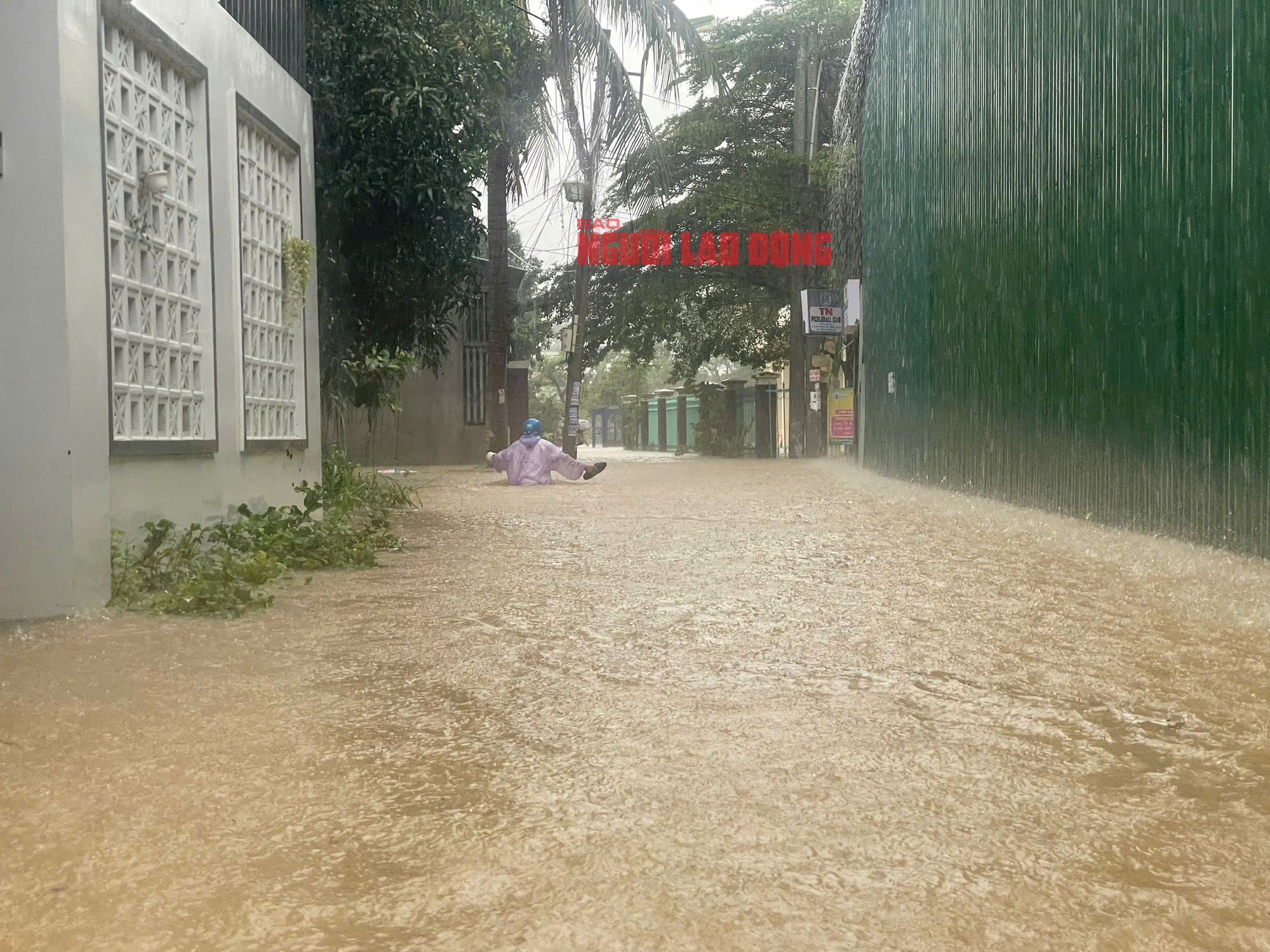 - Ảnh 9. - Ảnh 9.