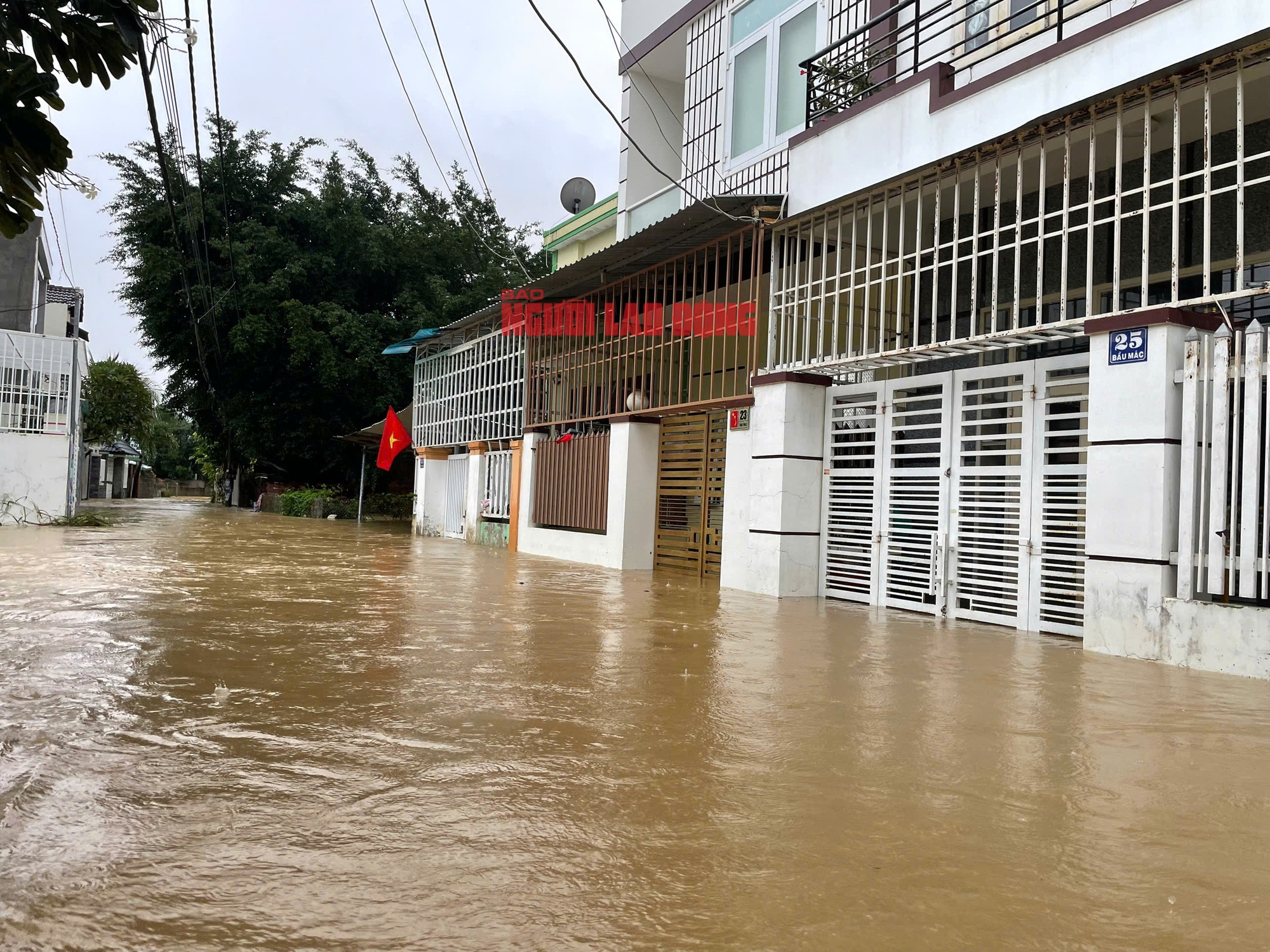 - Ảnh 10. - Ảnh 10.