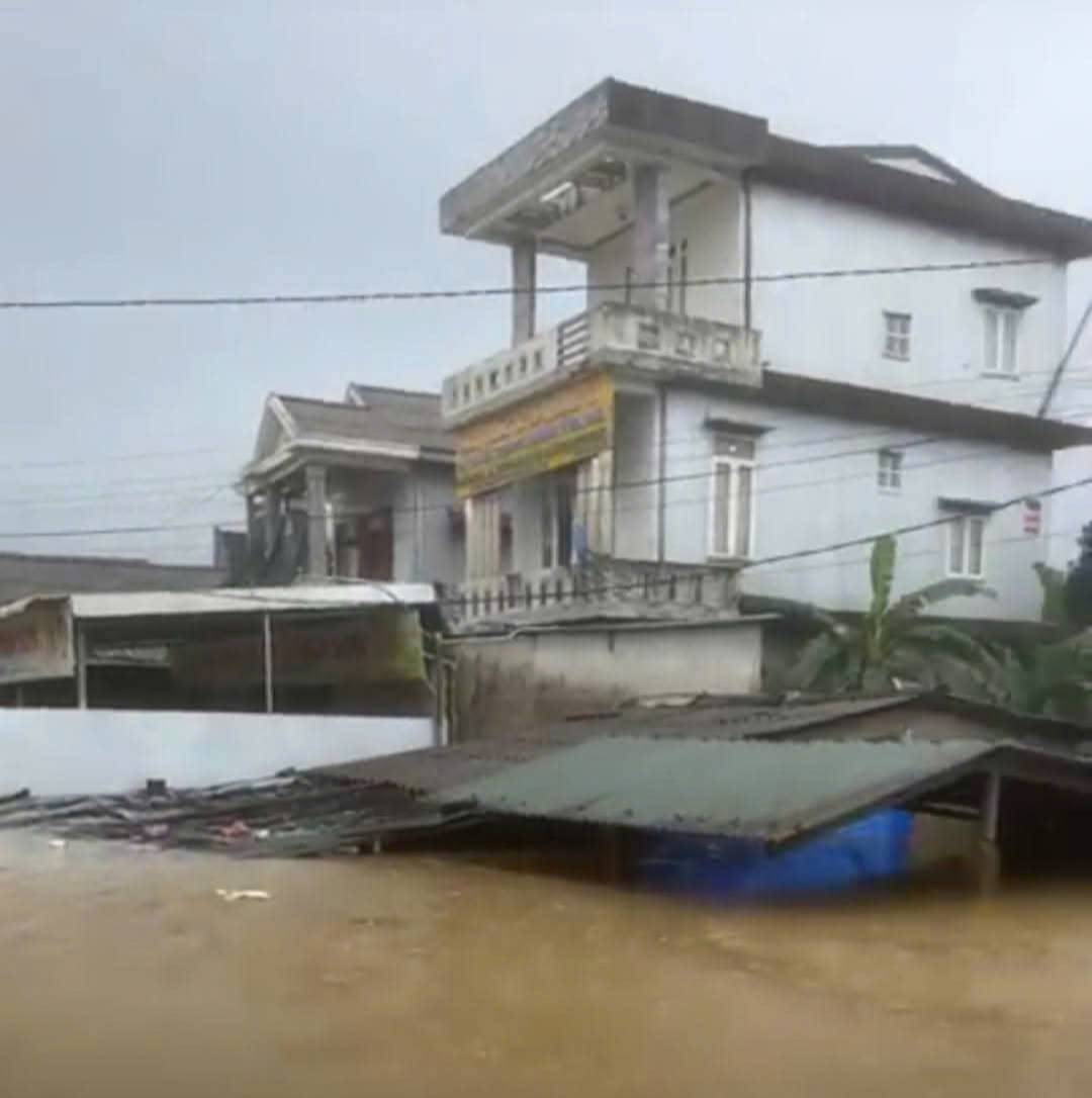 - Ảnh 4. - Ảnh 4.