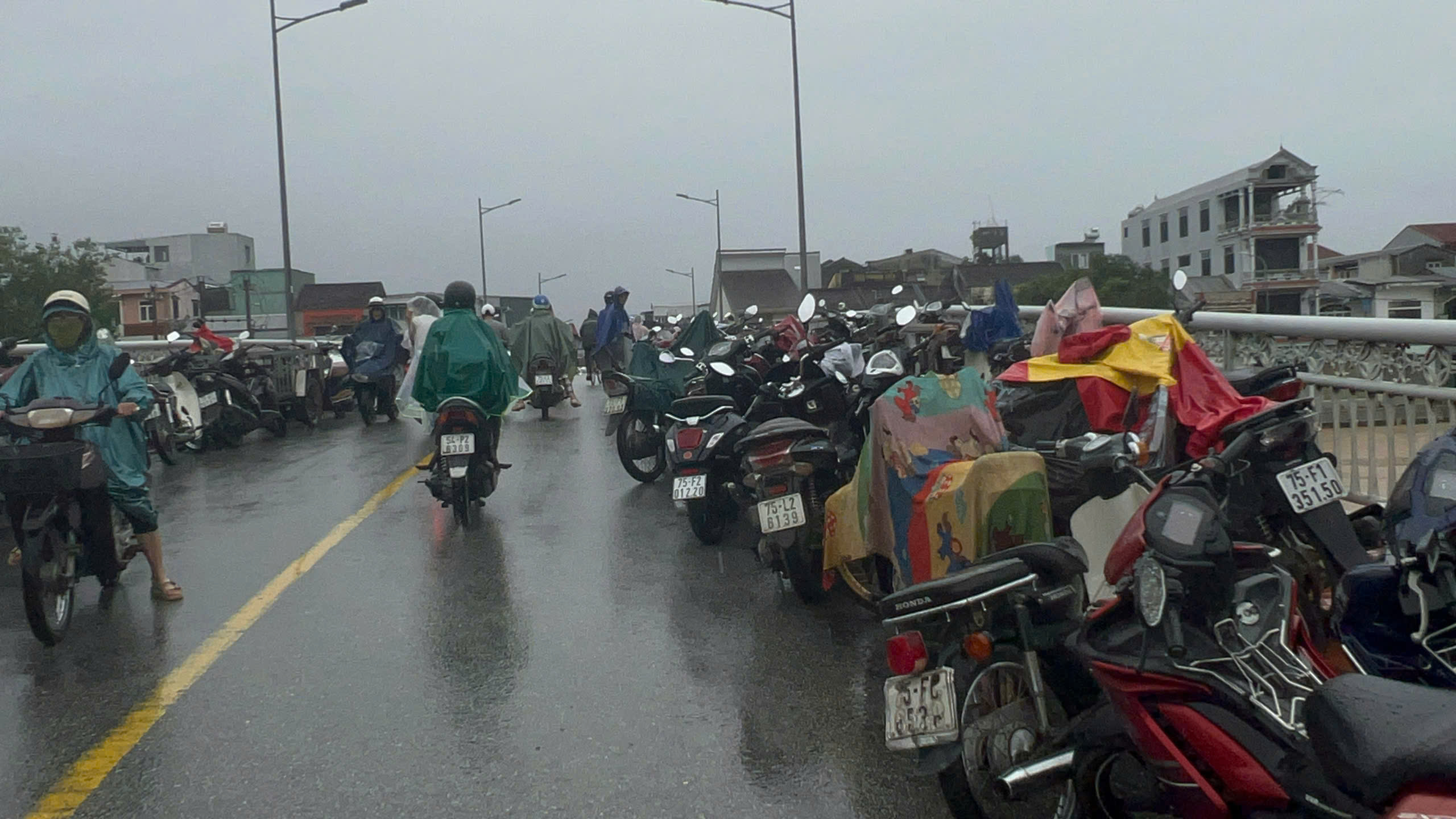 - Ảnh 4. - Ảnh 4.