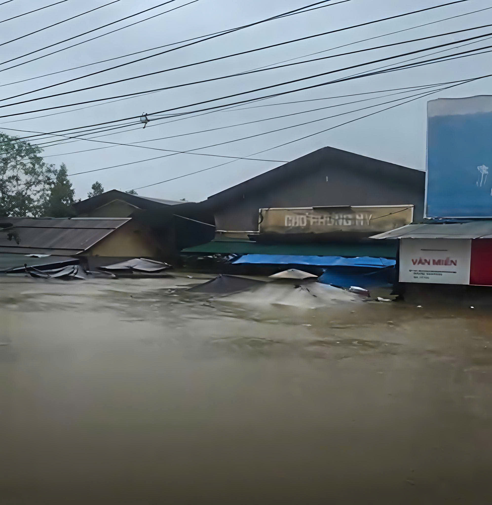 - Ảnh 5. - Ảnh 5.