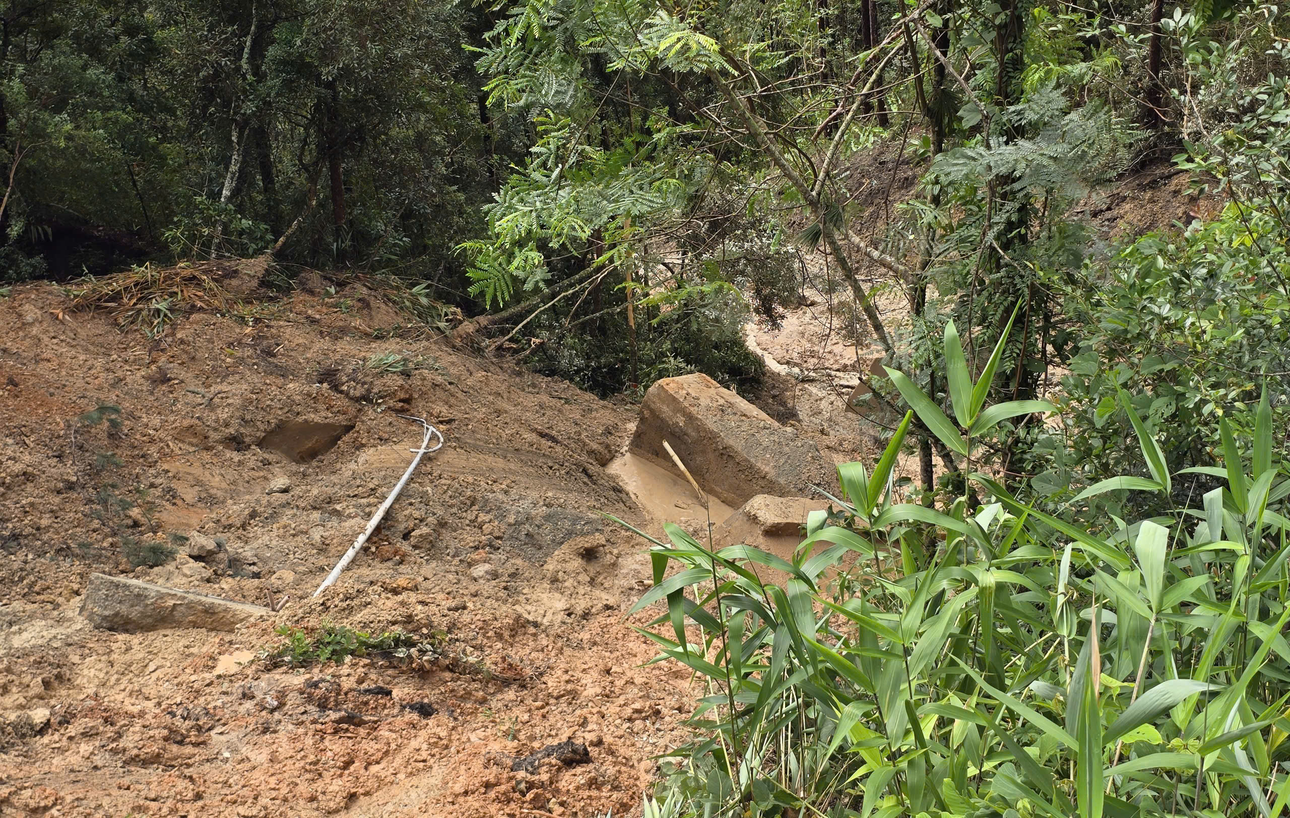 Cận cảnh sạt lở đèo Prenn gây dừng lưu thông tại Lâm Đồng - Ảnh 4. Cận cảnh sạt lở đèo Prenn gây dừng lưu thông tại Lâm Đồng - Ảnh 4.