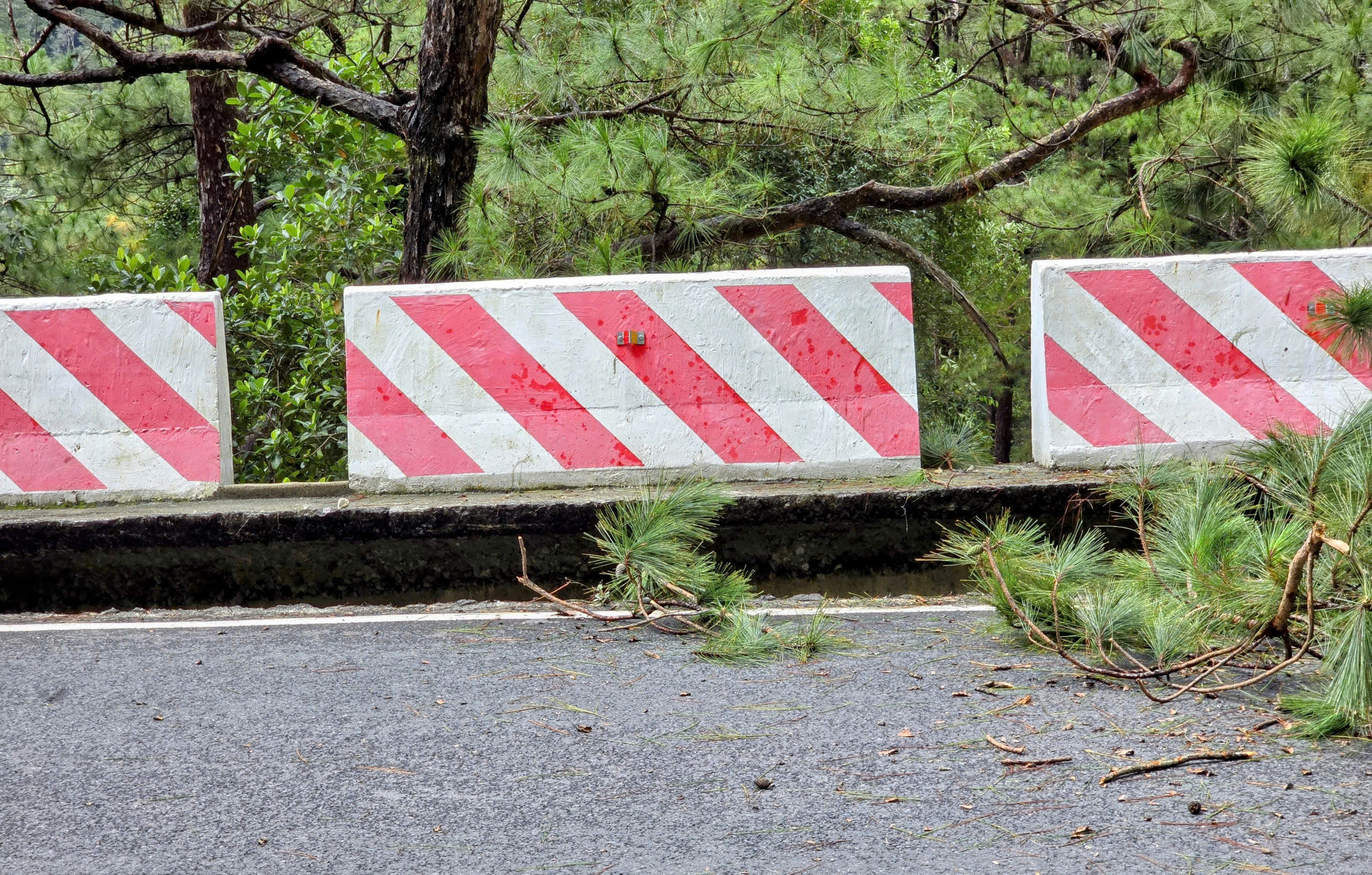 Cận cảnh sạt lở đèo Prenn gây dừng lưu thông tại Lâm Đồng - Ảnh 7. Cận cảnh sạt lở đèo Prenn gây dừng lưu thông tại Lâm Đồng - Ảnh 7.