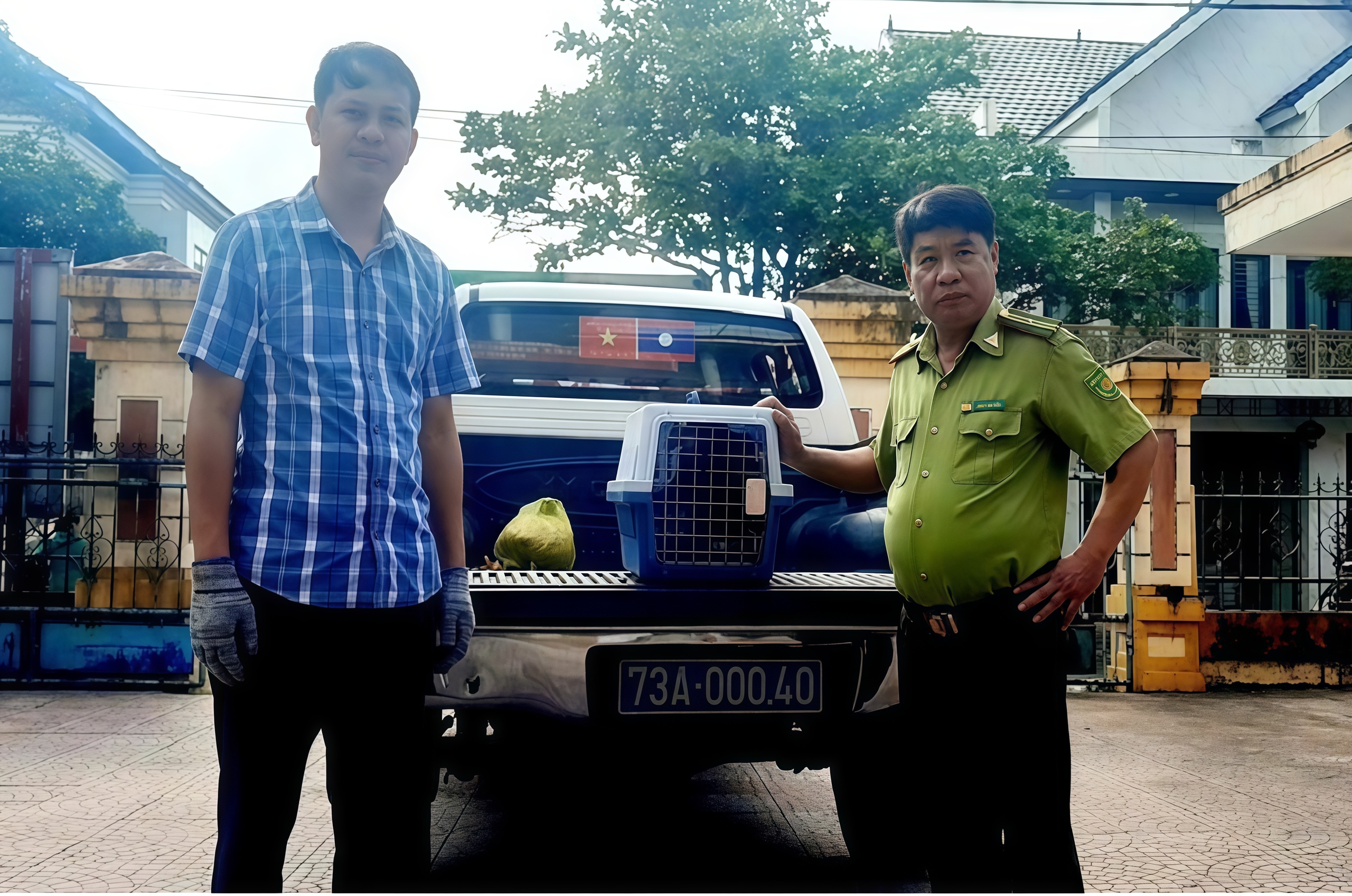 Diều hoa Miến Điện qúy hiếm được Cứu hộ ở Quảng Trị , góp phần bảo vệ đa dạng sinh học - Ảnh 1.