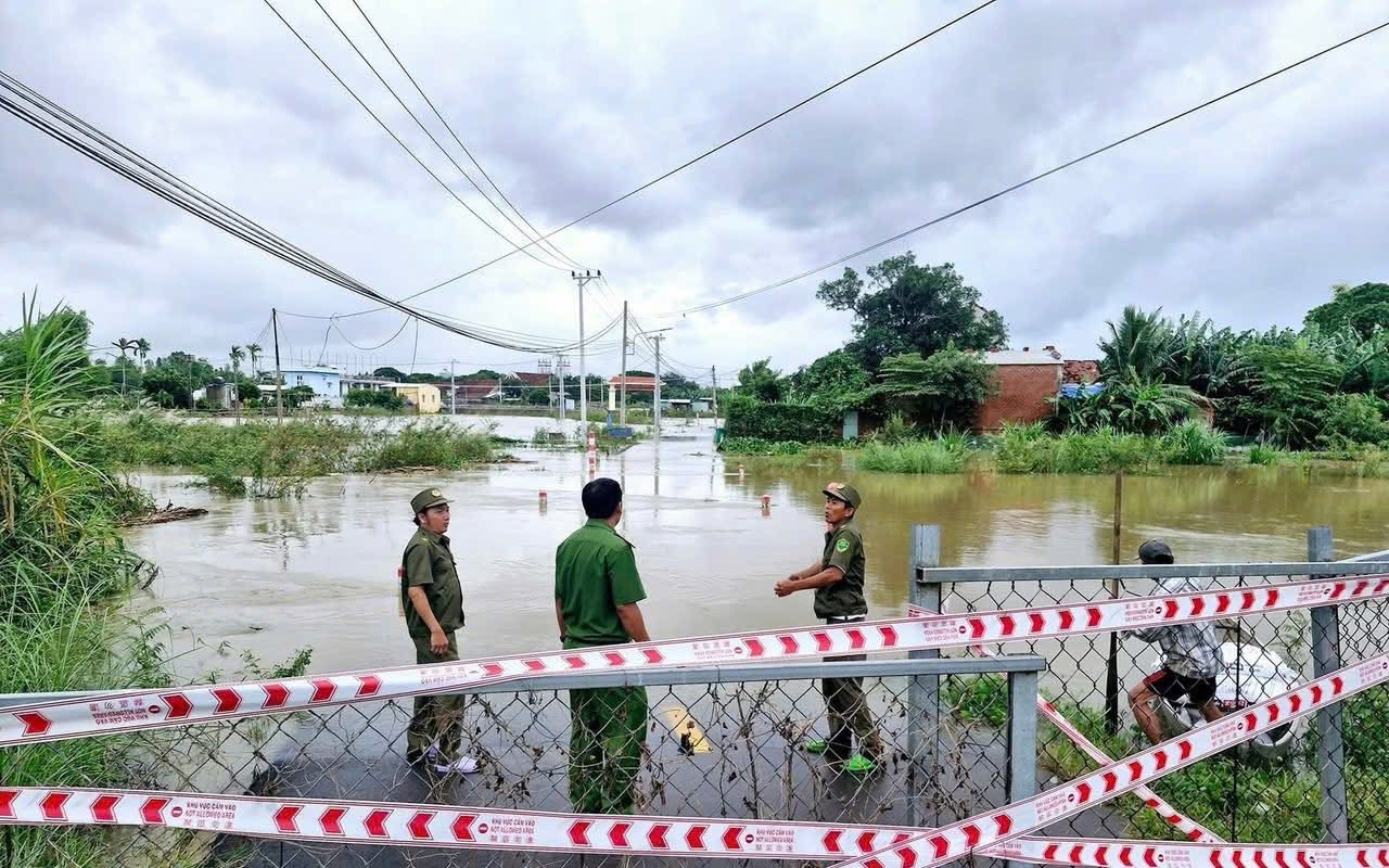 - Ảnh 2. - Ảnh 2.