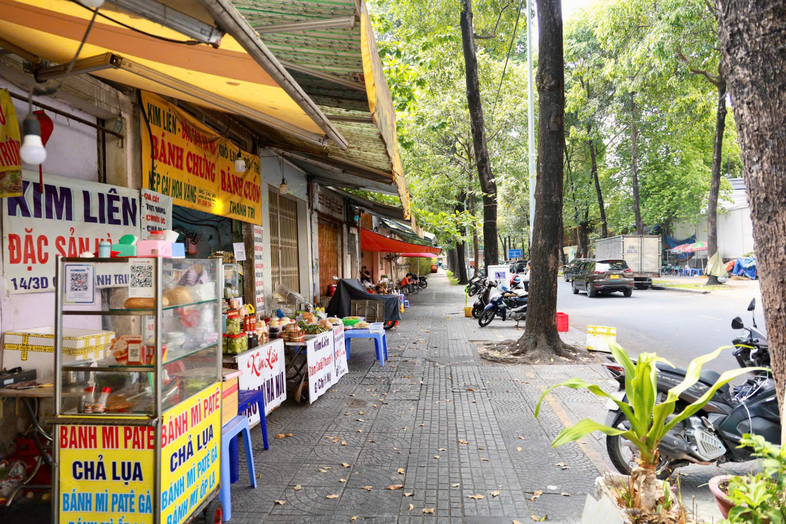 - Ảnh 1. - Ảnh 1.