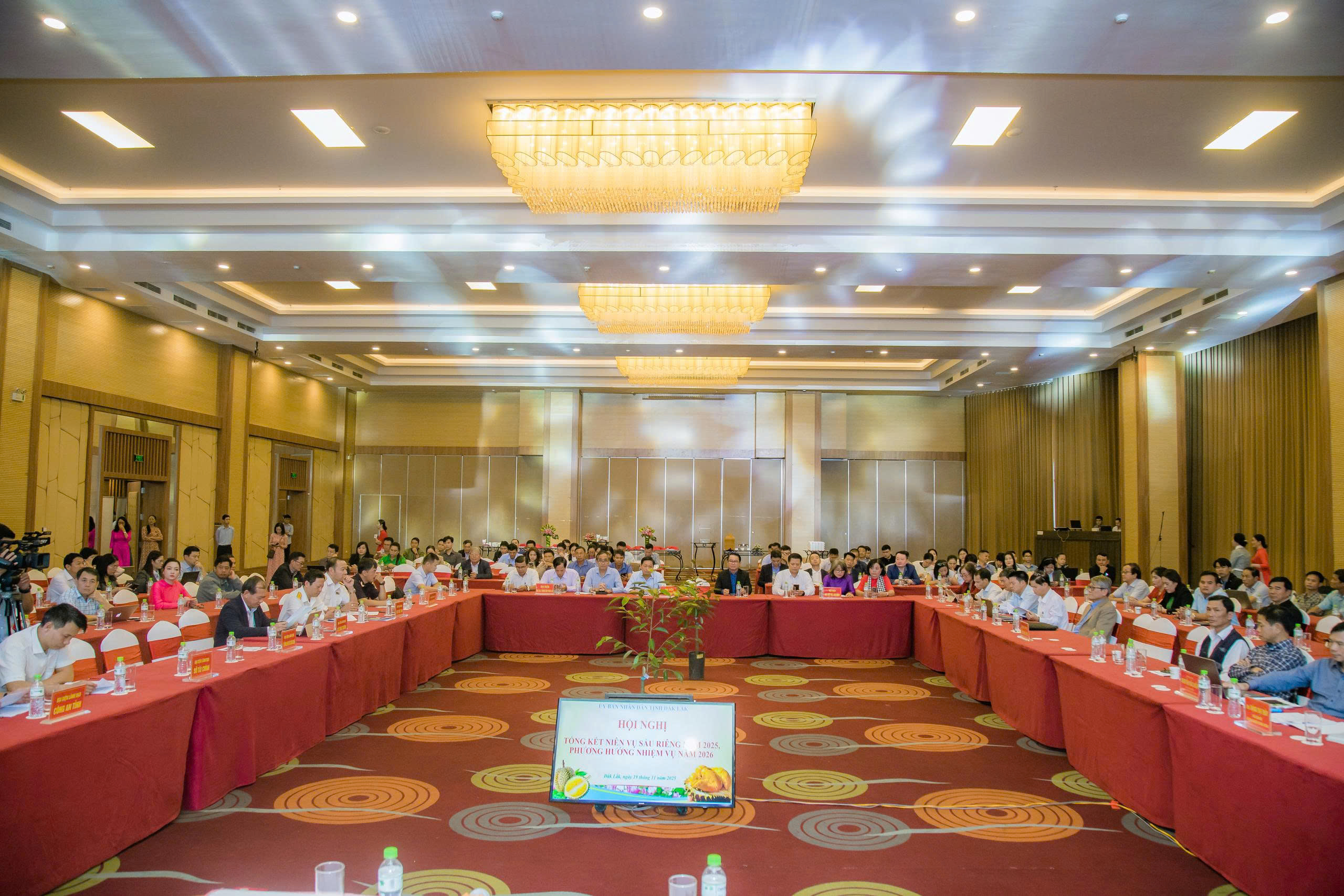 Mua hồ sơ xuất khẩu sầu riêng với giá hàng trăm triệu đồng! - Ảnh 1.