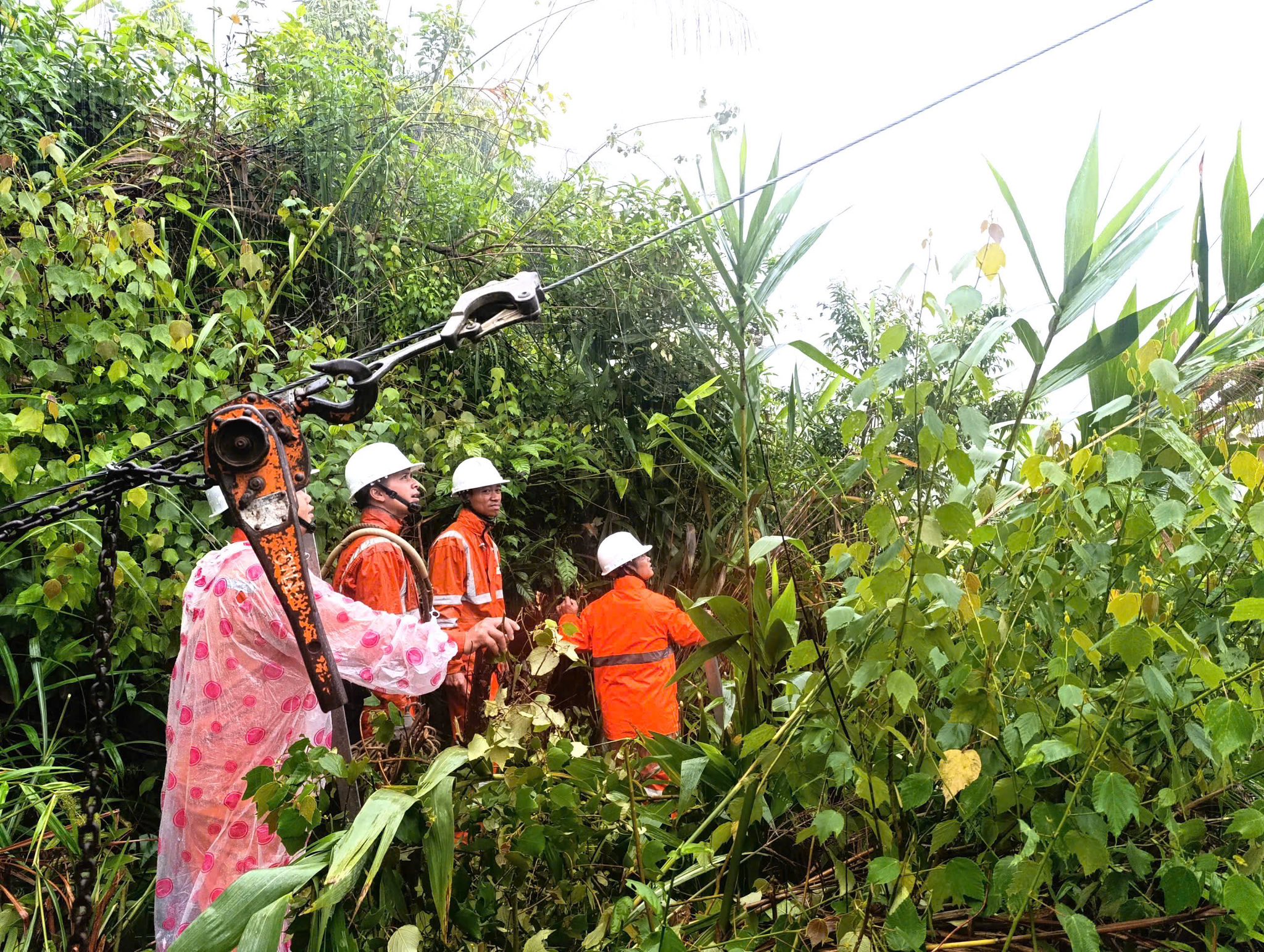 Thượng nguồn Đà Nẵng mưa lớn, nguy cơ lũ chồng lụt - Ảnh 9. Thượng nguồn Đà Nẵng mưa lớn, nguy cơ lũ chồng lụt - Ảnh 9.