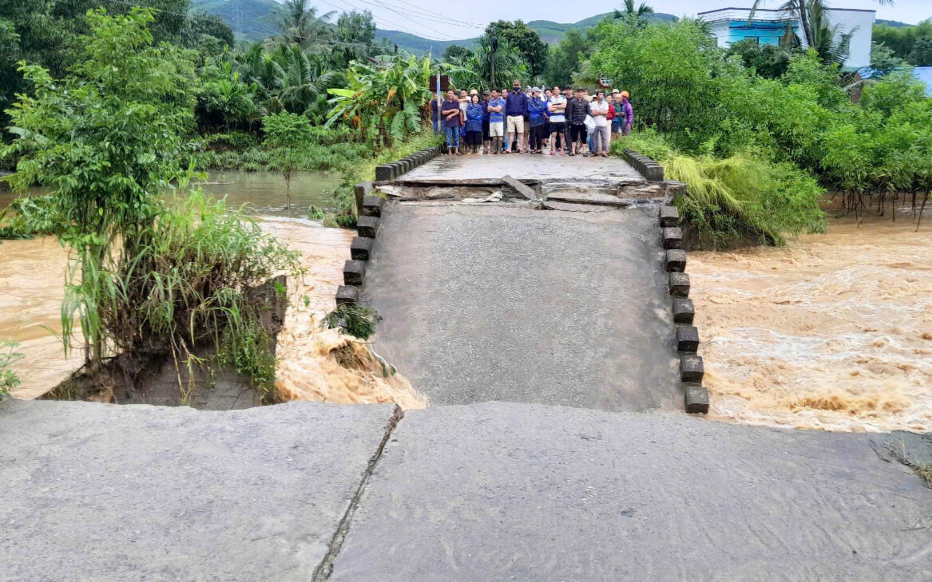 - Ảnh 4. - Ảnh 4.