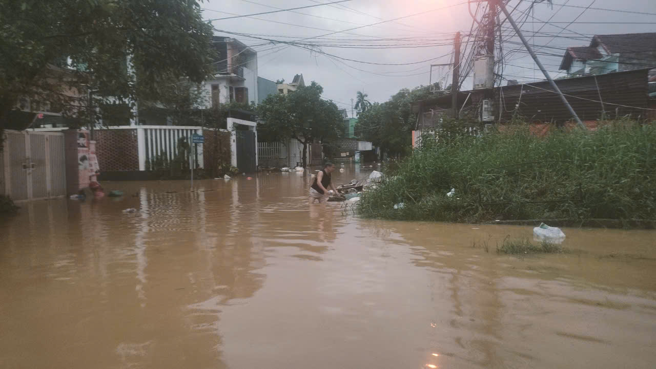 - Ảnh 7.  - Ảnh 7.