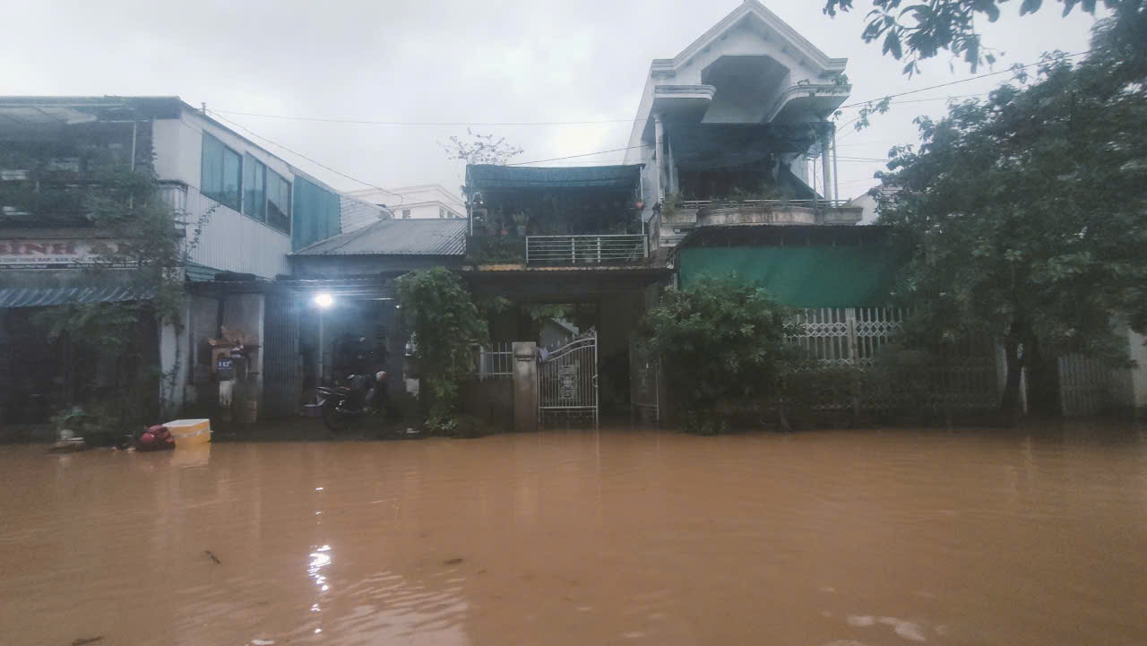 - Ảnh 6.  - Ảnh 6.