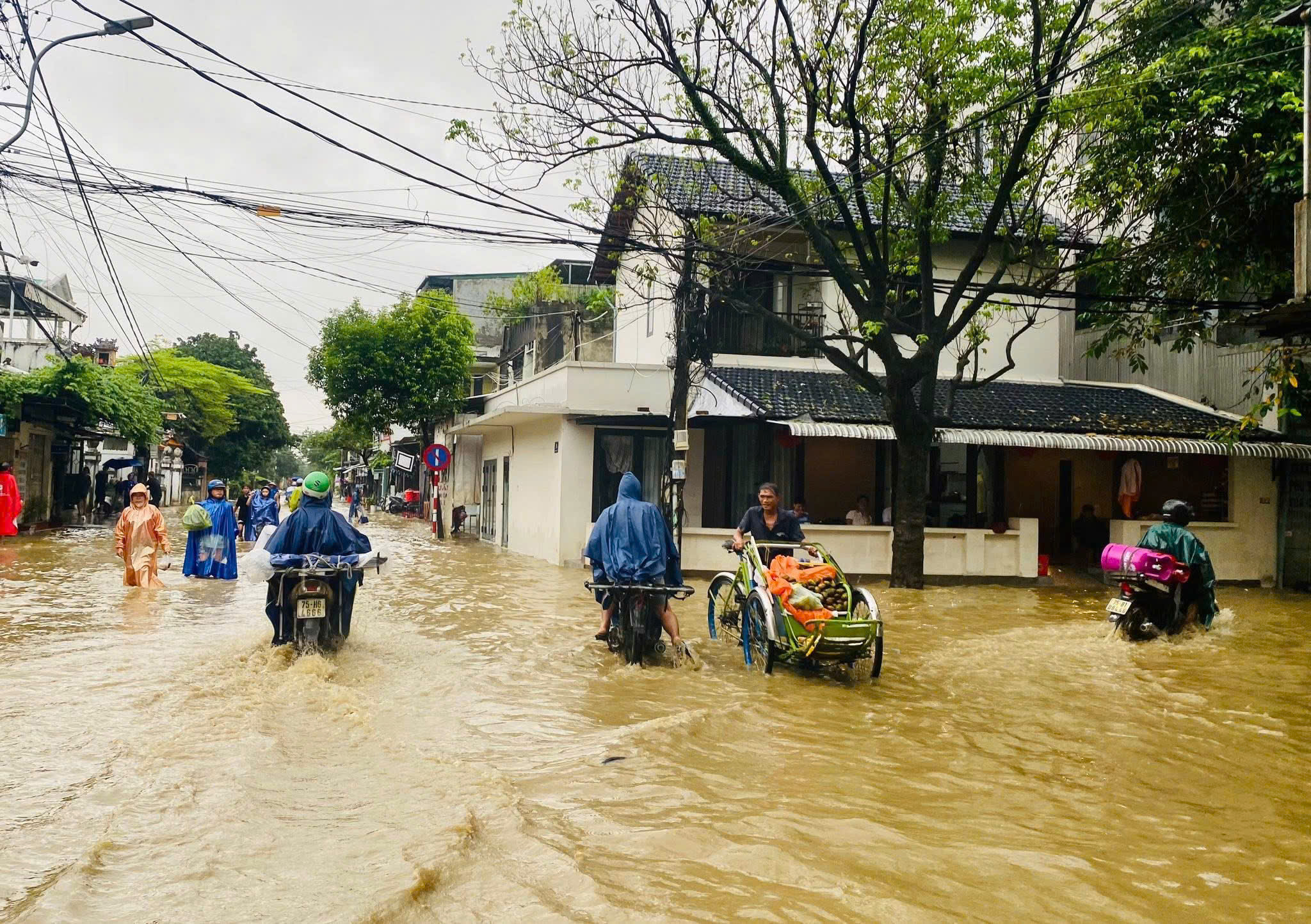 - Ảnh 1.  - Ảnh 1.