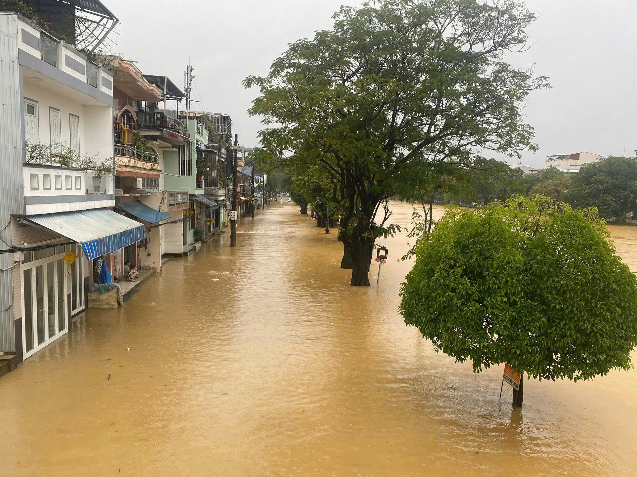 - Ảnh 2.  - Ảnh 2.