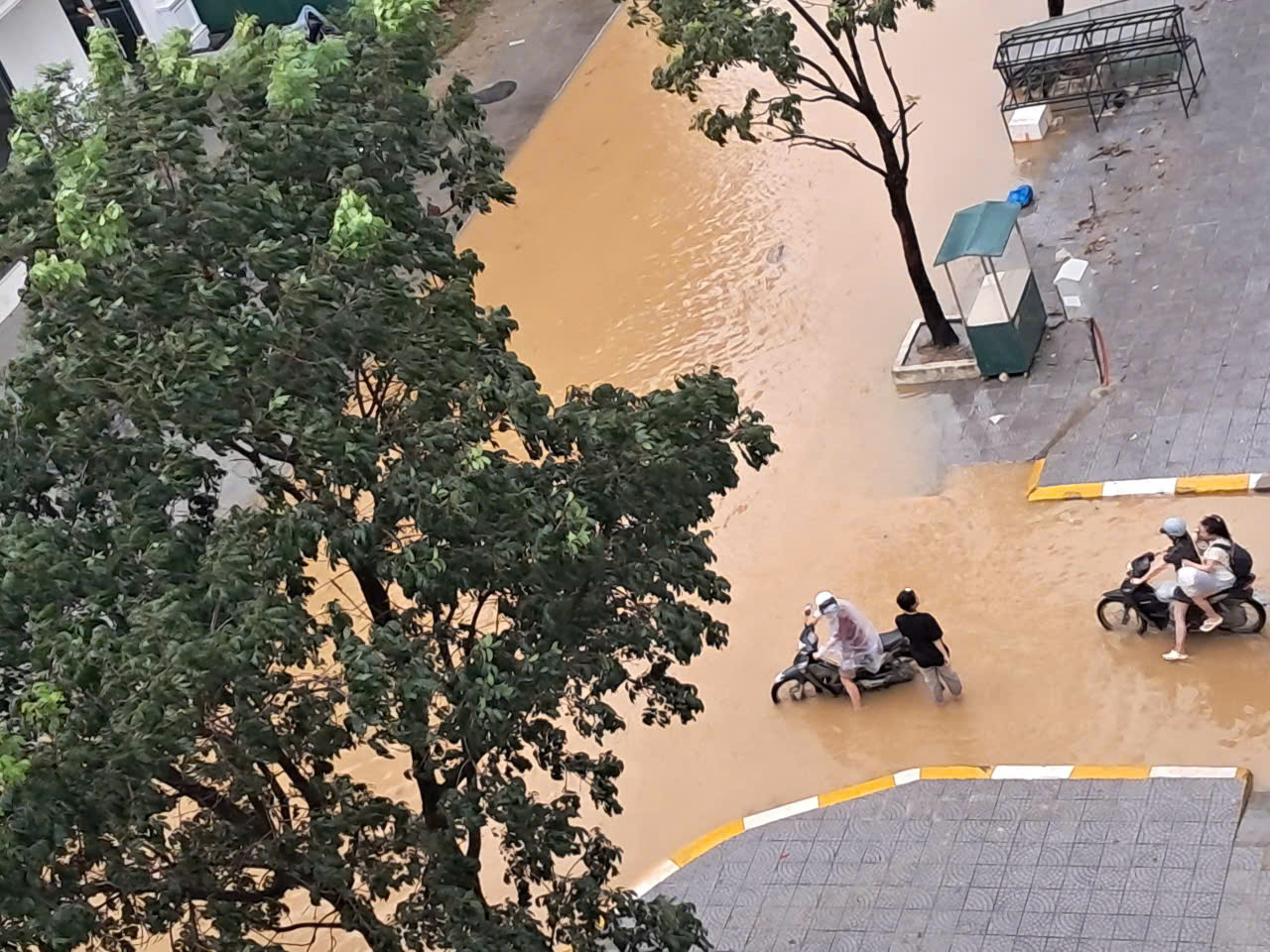 - Ảnh 3.  - Ảnh 3.