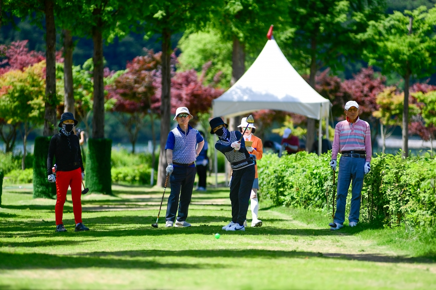 D&G Golf Group hợp tác với NovaGroup phát triển sân park golf tại NovaWorld Phan Thiet - Ảnh 2.