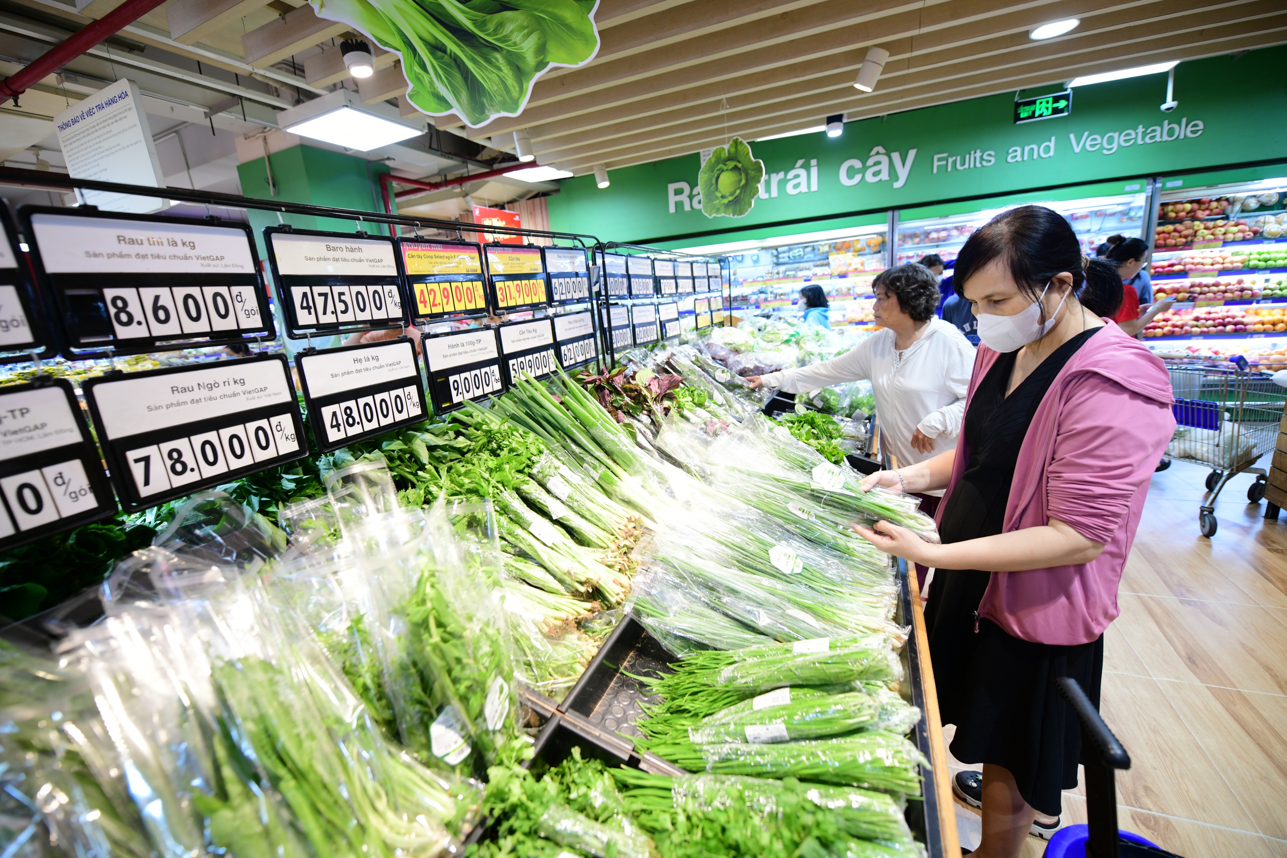 - Ảnh 5. - Ảnh 5.