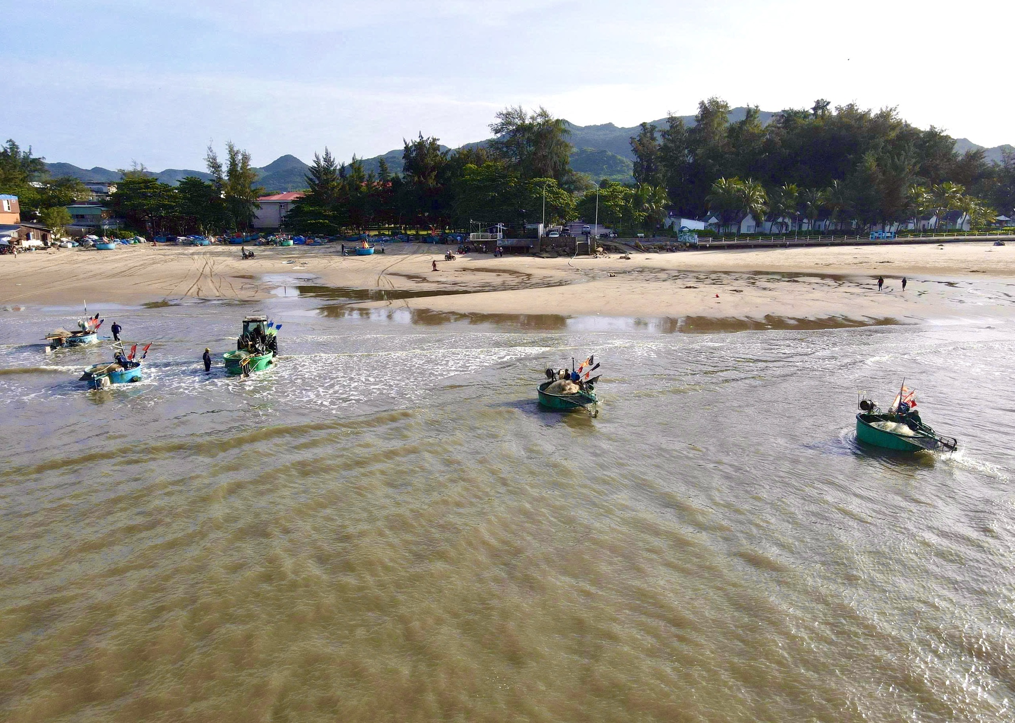 Ngư dân TP HCM trúng "lộc trời" mùa cá mai - Ảnh 2.