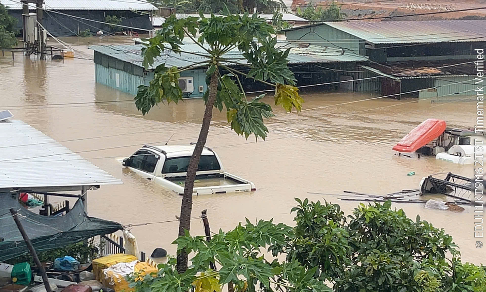 11月21日の洪水最新情報：洪水により54人が死亡・行方不明、被害額は3