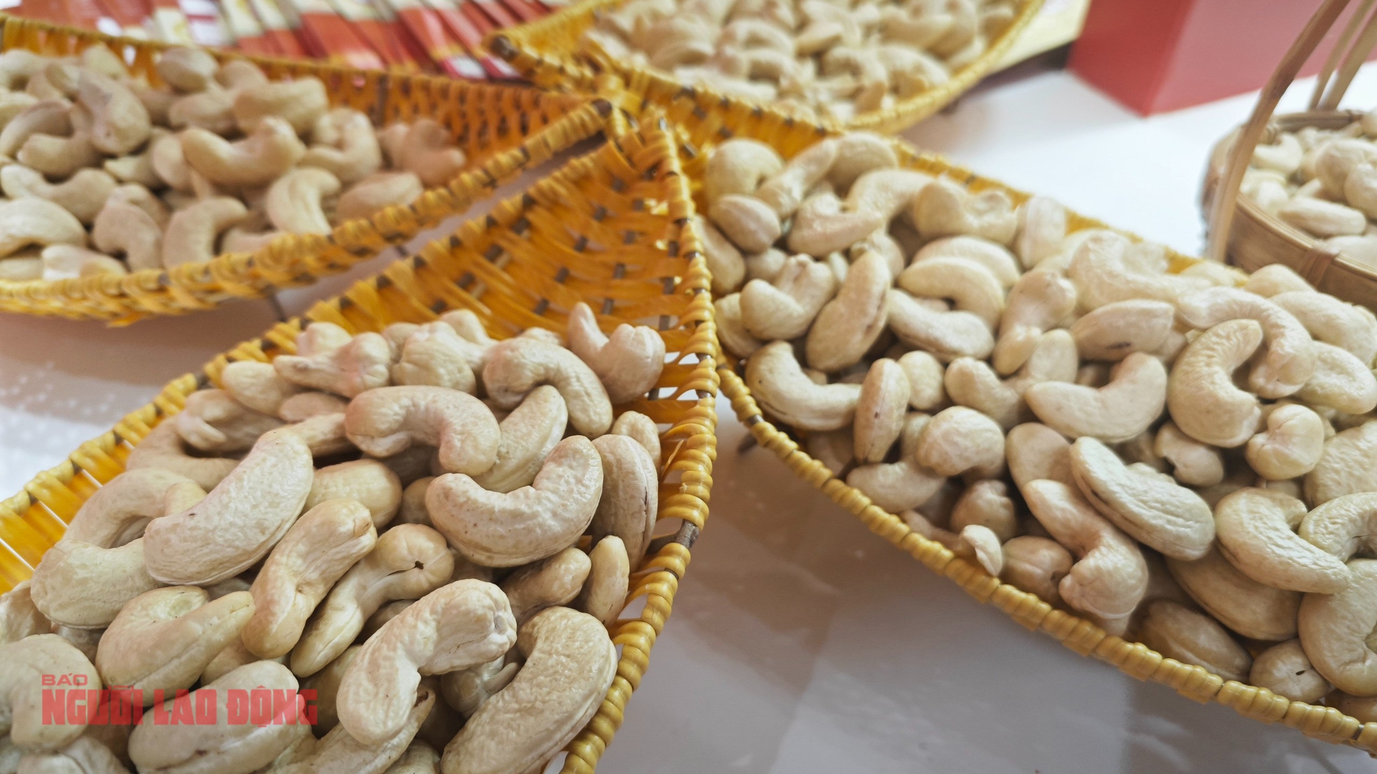 Kỳ tích ngành điều - Ảnh 1.