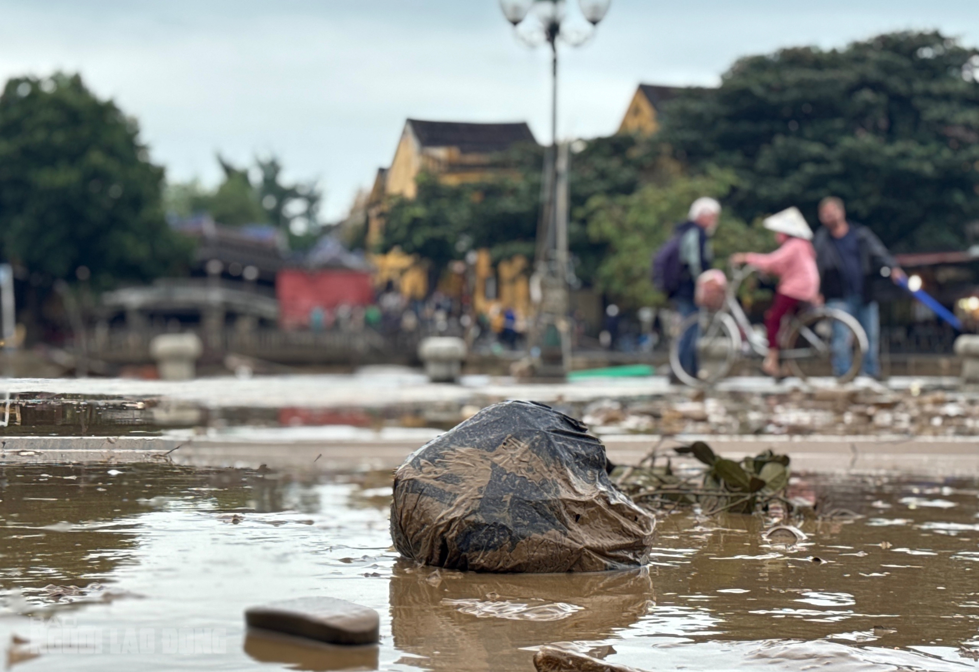 Hội An dọn dẹp sau lũ khẩn trương phục hồi sinh hoạt và vệ sinh đô thị - Ảnh 10.