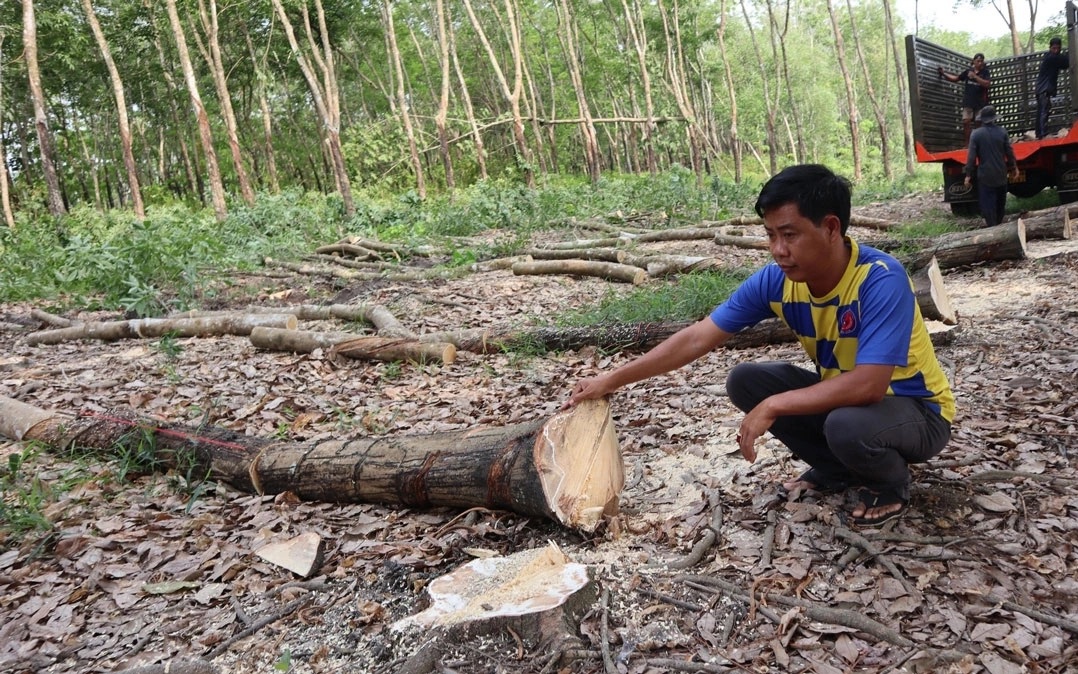 Hình ảnh mới nhất từ tuyến cao tốc Châu Đốc - Cần Thơ - Sóc Trăng đang thi công - Ảnh 2.