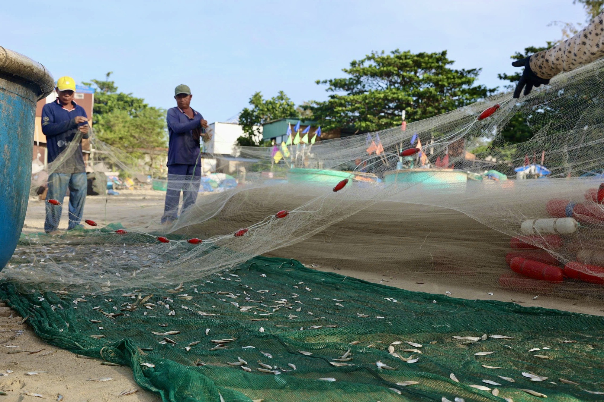 Ngư dân TP HCM trúng "lộc trời" mùa cá mai - Ảnh 5.