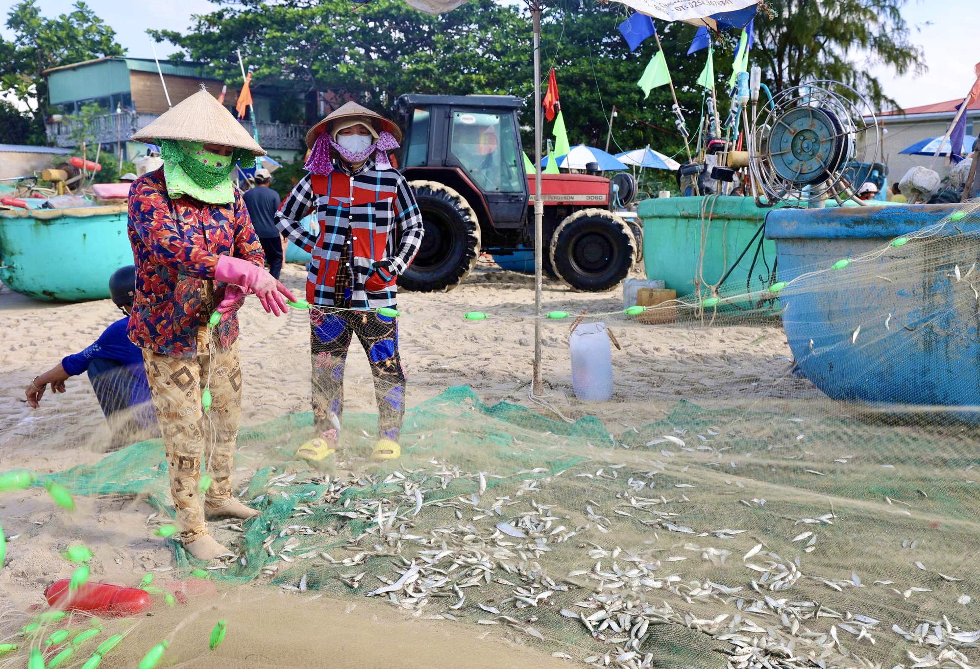 Ngư dân TP HCM trúng "lộc trời" mùa cá mai - Ảnh 1.