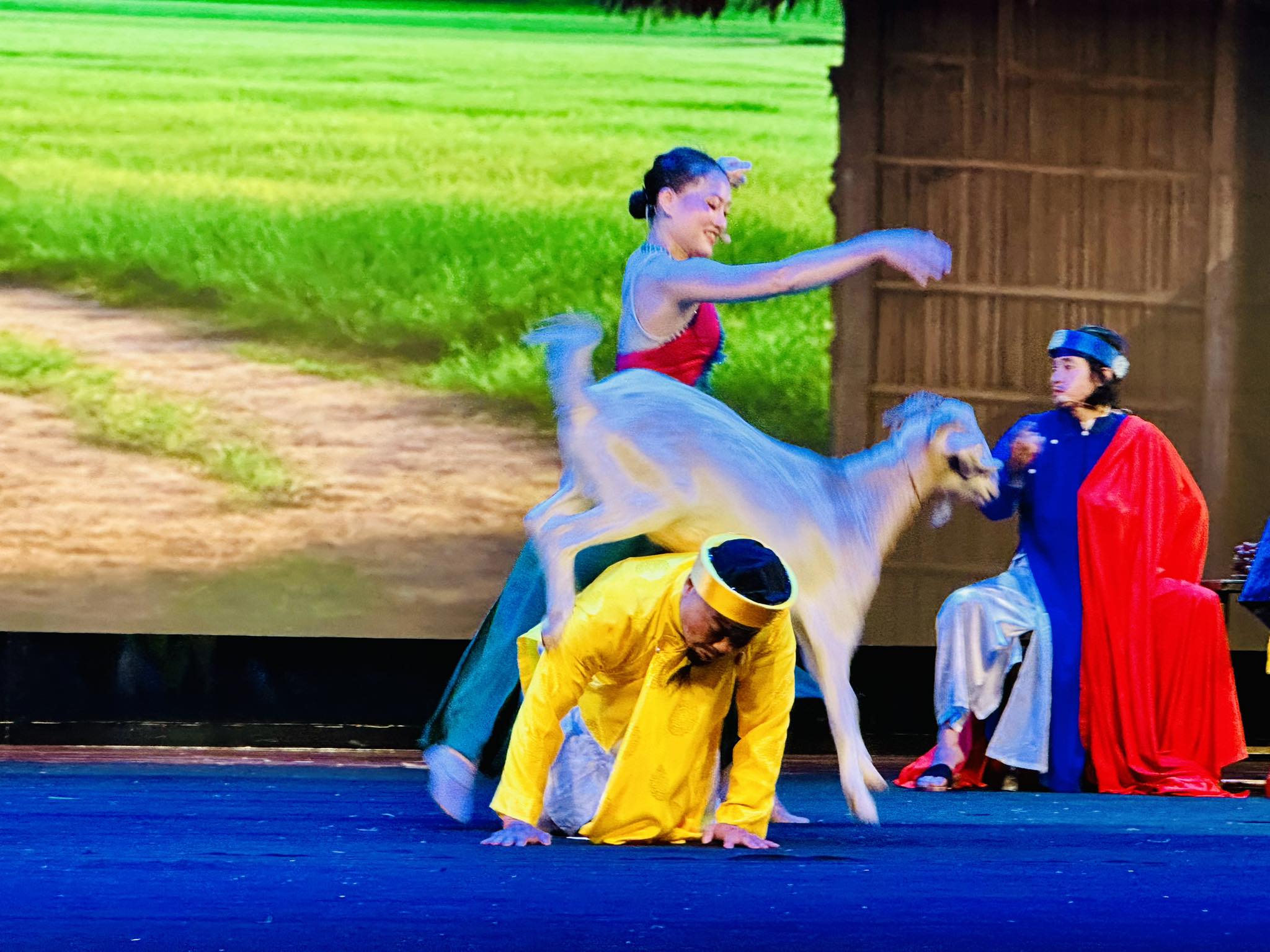 "Nghêu Sò Ốc Hến" được kể bằng nghệ thuật xiếc, tạo tiếng cười trong không gian thử nghiệm - Ảnh 3.