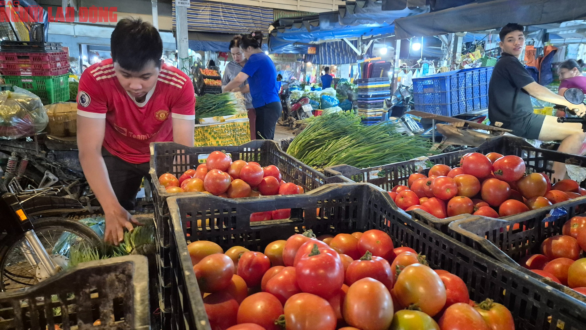 - Ảnh 1. - Ảnh 1.