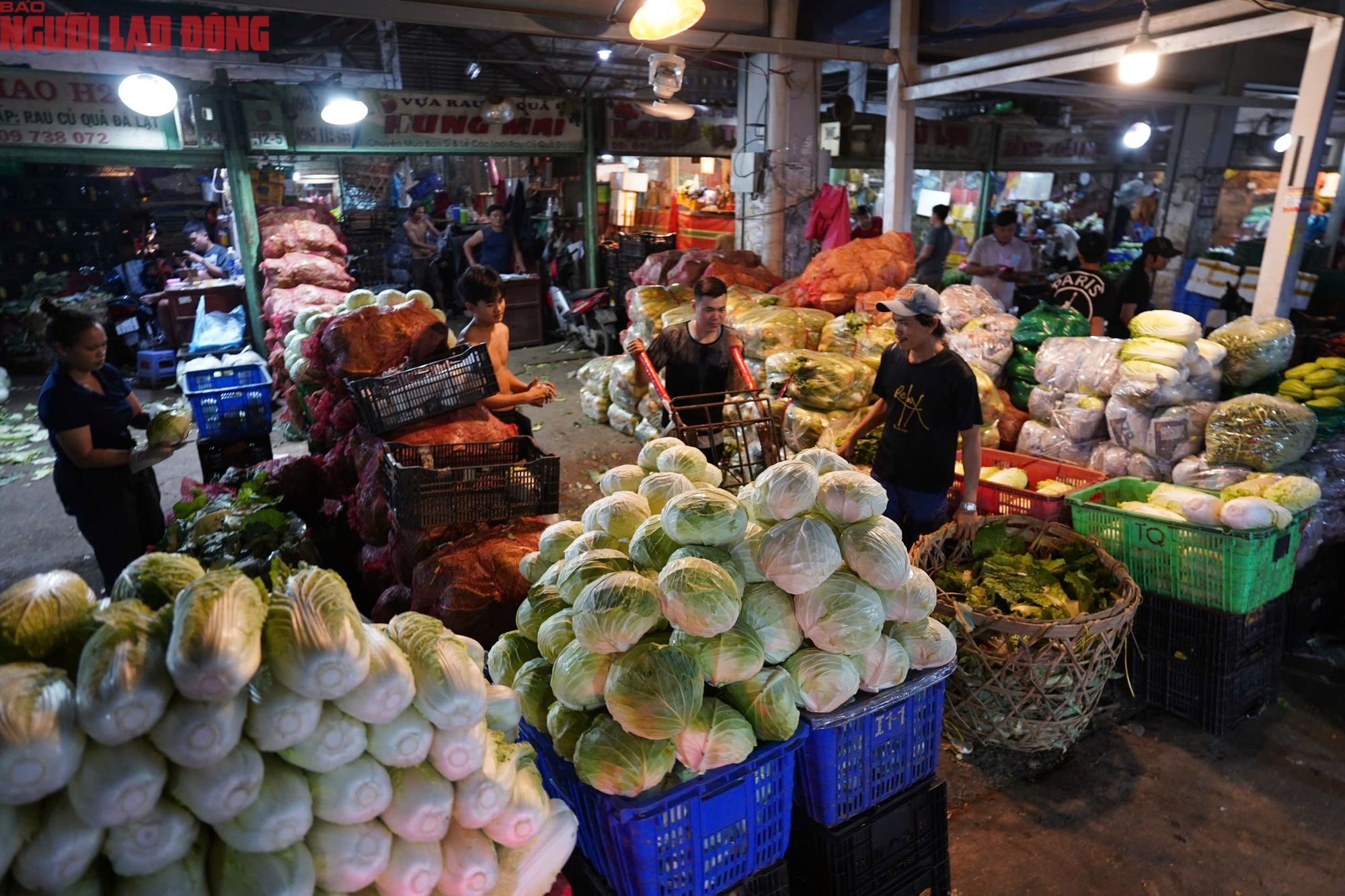 - Ảnh 13. - Ảnh 13.