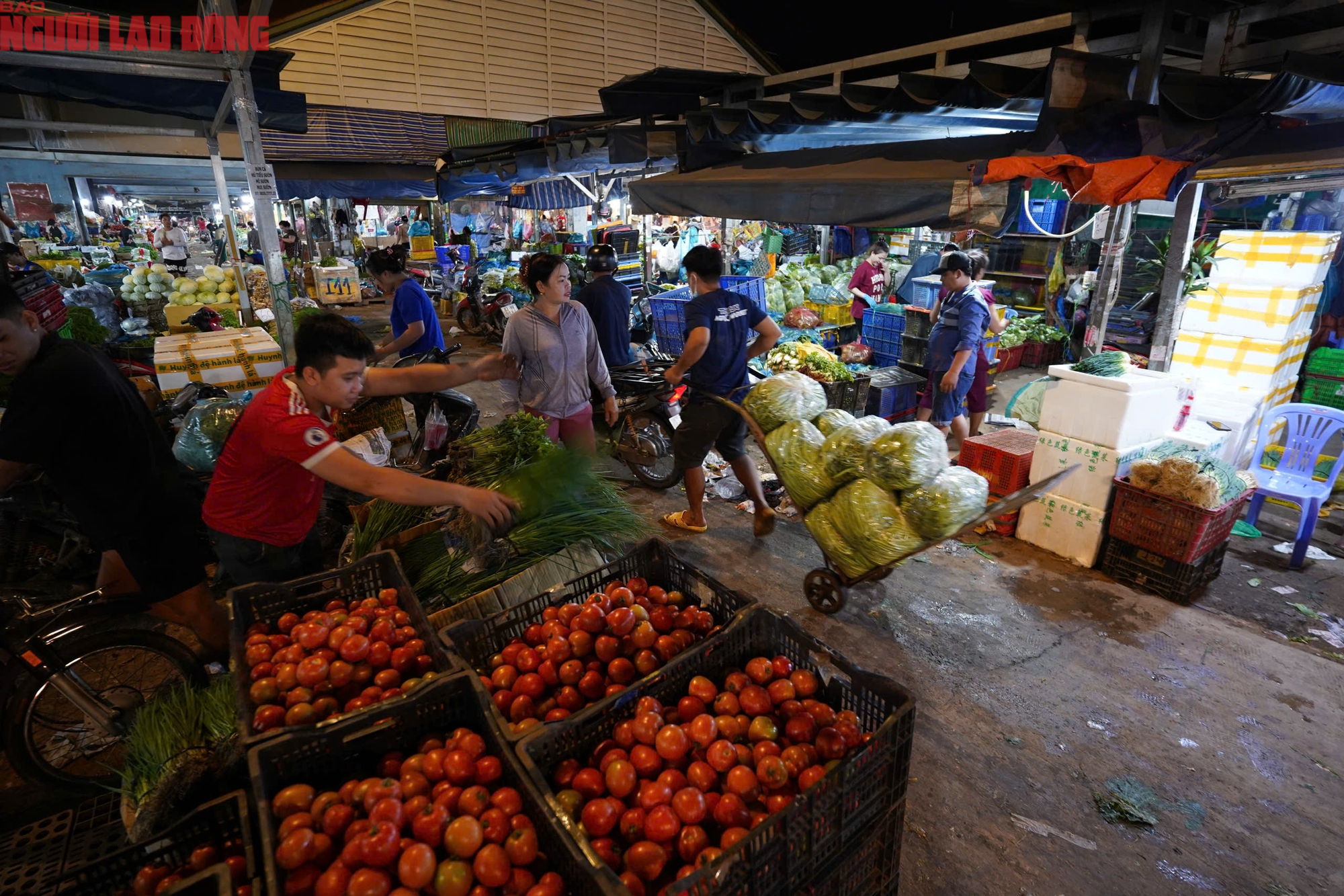 - Ảnh 14. - Ảnh 14.