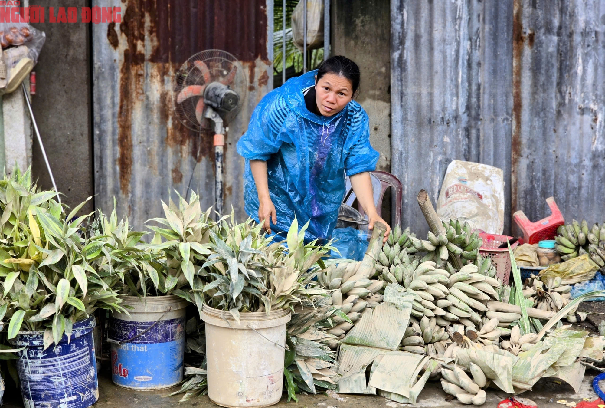 Nhiều tuyến đường Nha Trang còn "ngập" trong rác - Ảnh 7.