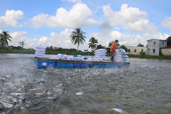 Phát triển bền vững ngành hàng chủ lực - Ảnh 1.