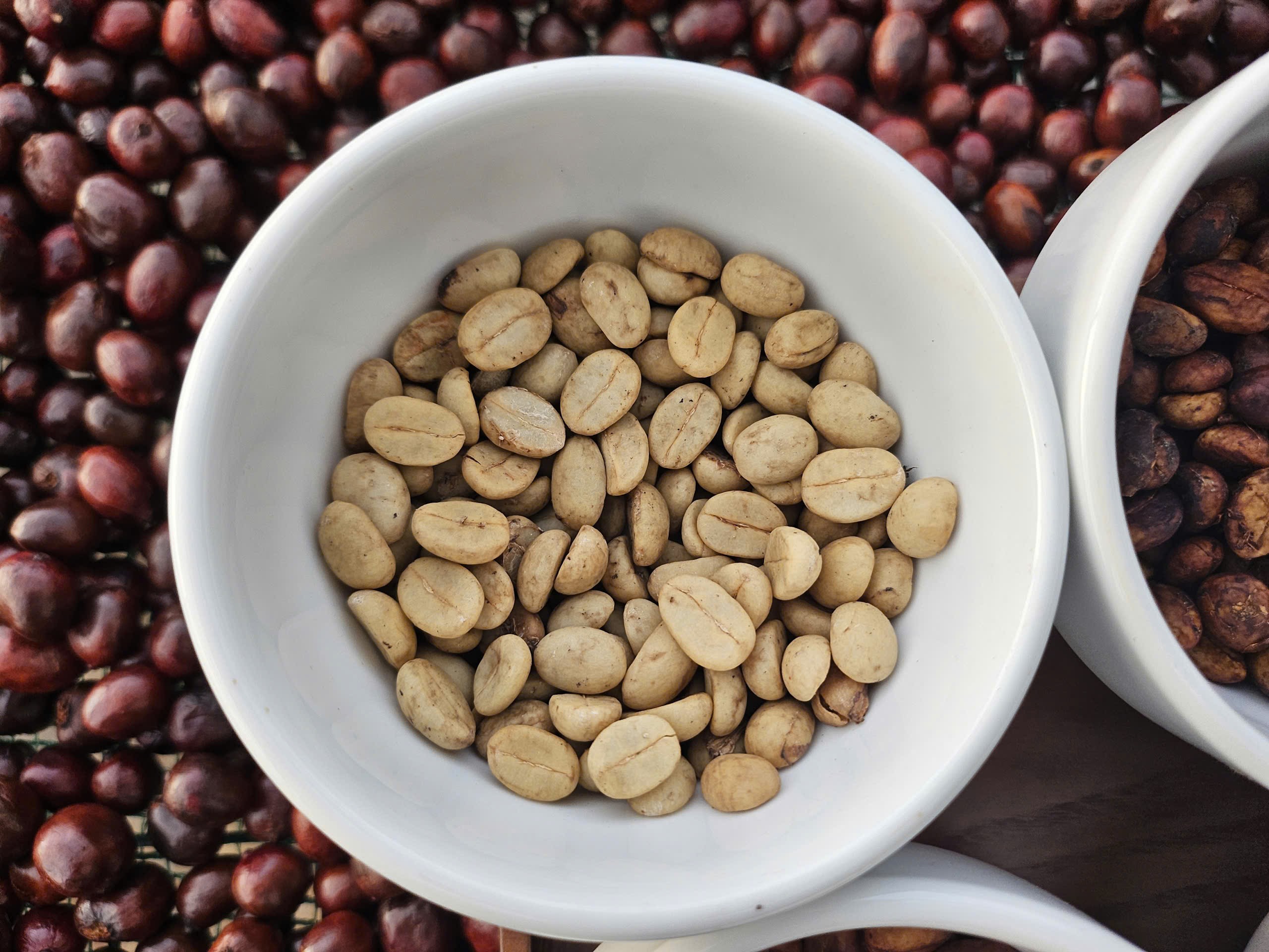 Giá cà phê hôm nay 23-11: Một tuần bão tố - Ảnh 1.