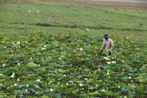 Phát triển bền vững ngành hàng chủ lực - Ảnh 2.