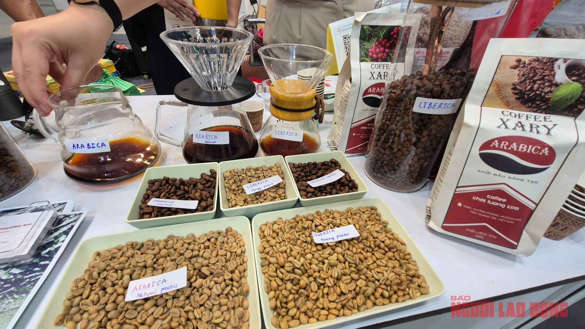 Giá cà phê hôm nay 24-11: Tuần mới ra sao? - Ảnh 1.