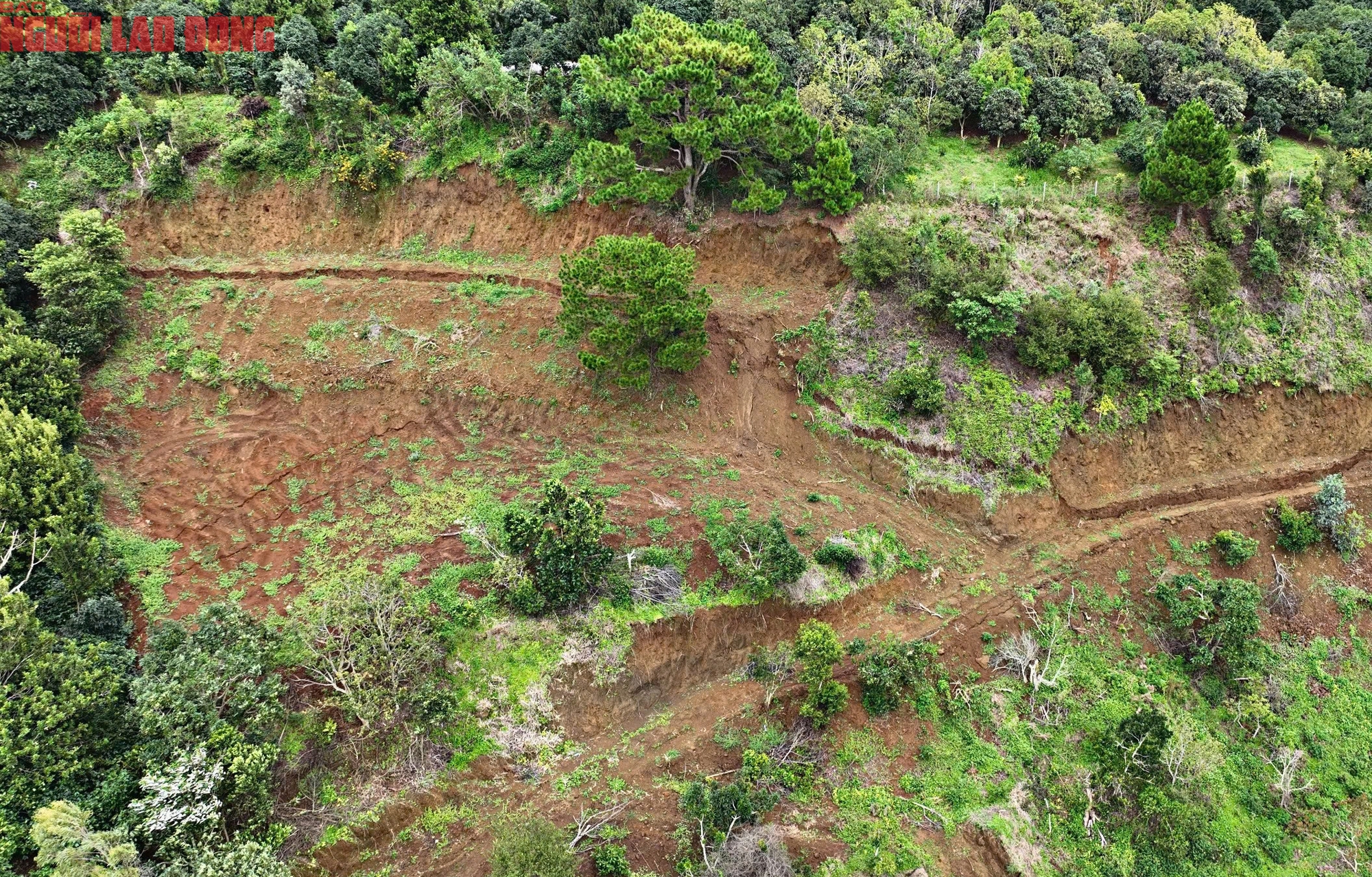 Ngọn đồi ở Lâm Đồng nứt lớn, khẩn cấp di dời hàng chục hộ dân - Ảnh 1.