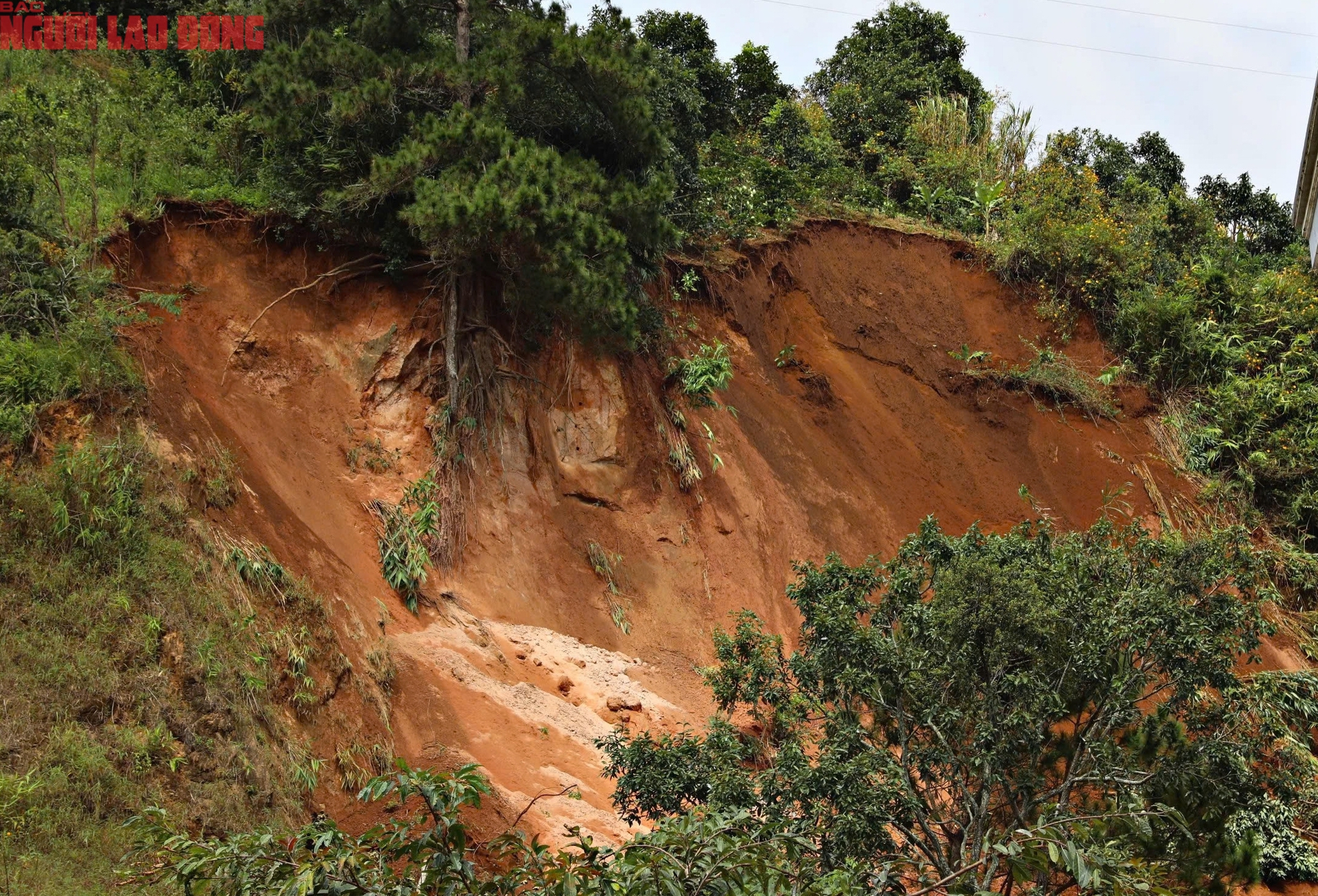 Ngọn đồi ở Lâm Đồng nứt lớn, khẩn cấp di dời hàng chục hộ dân - Ảnh 3.